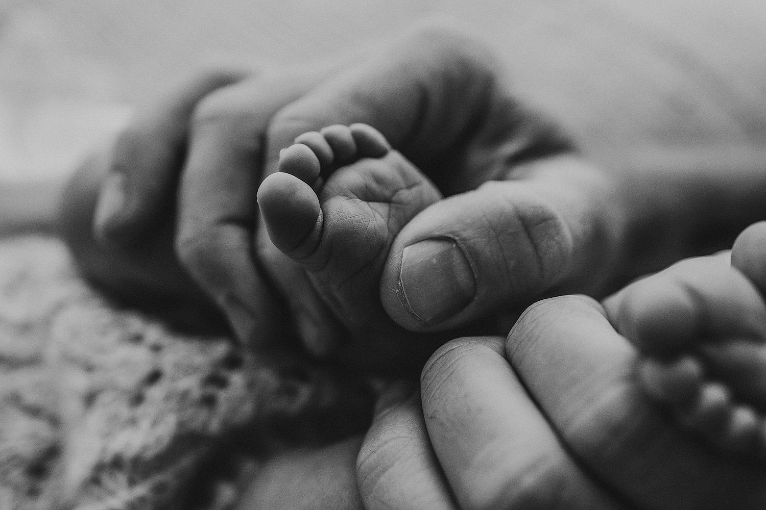 newborn macro details safe newborn posing Geelong newborn photographer