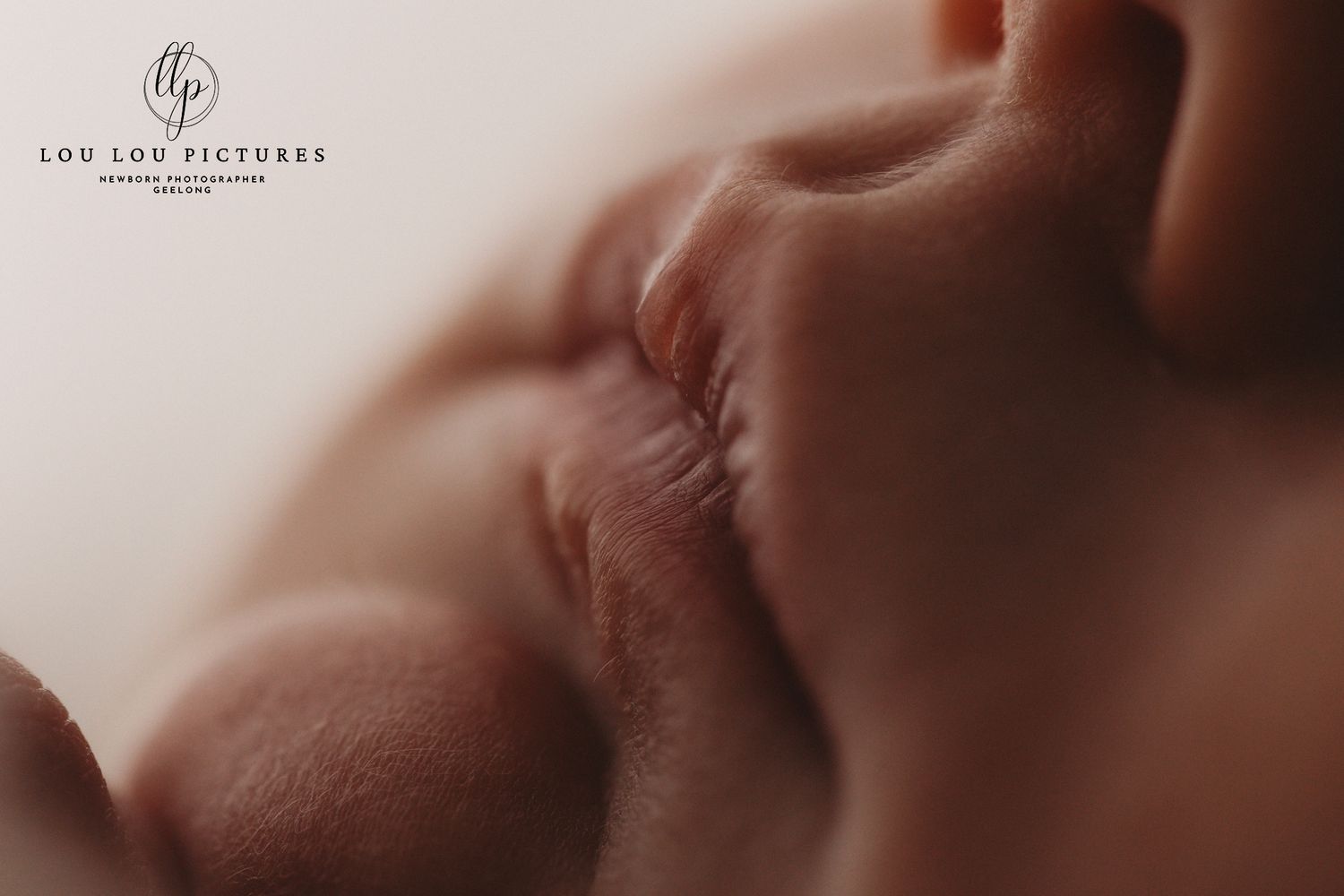 Geelong newborn photographer, newborn photography Geelong, Geelong Victoria Newborn photographer, best Geelong newborn photographer