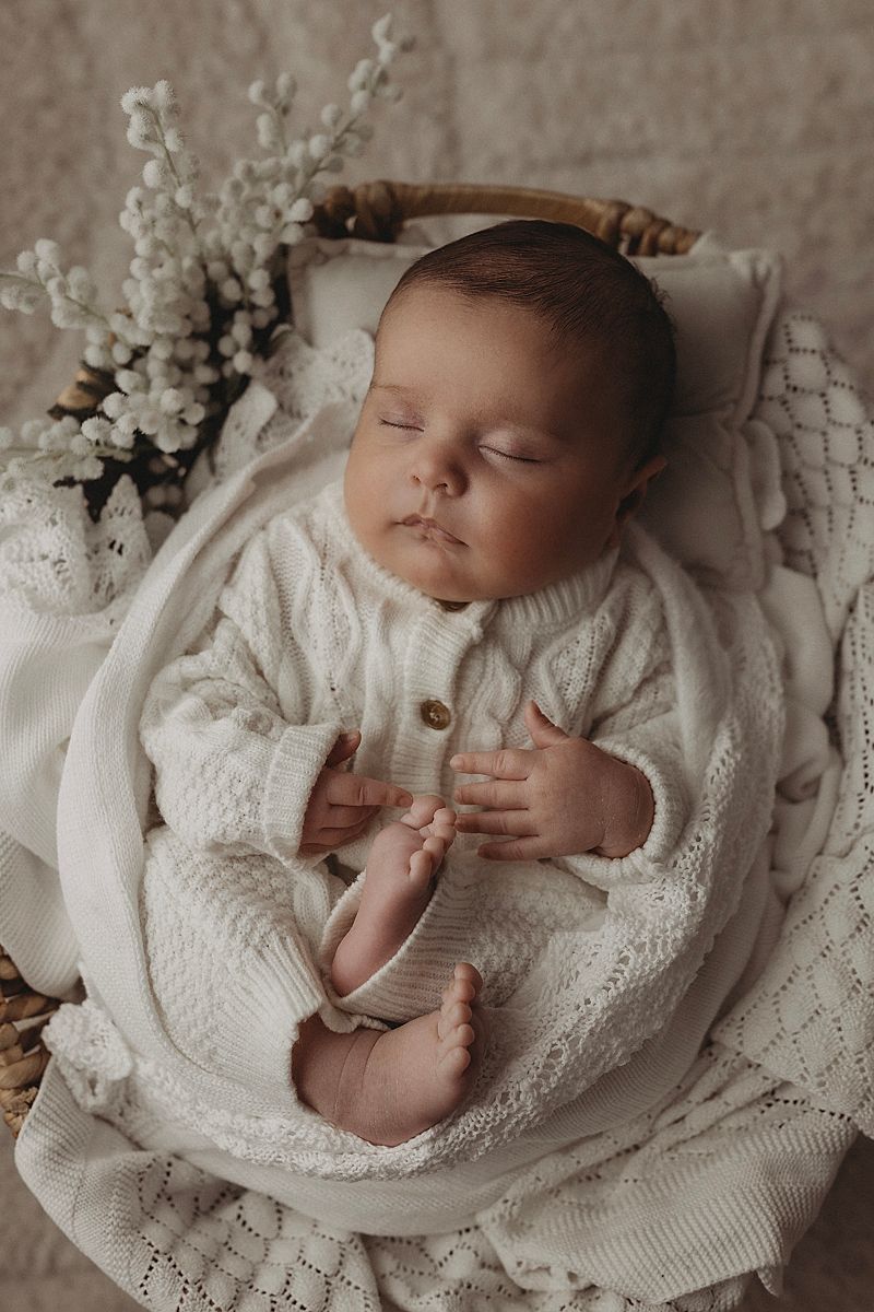 newborn in a prop for geelong photoshoot
