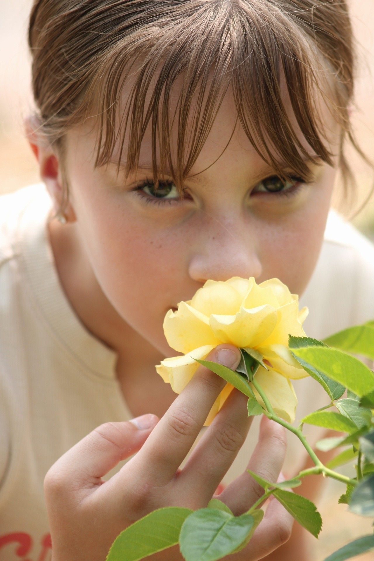 Close up portrait of girl and roses at Rose Garden of Grandview Park, Sioux City, Iowa