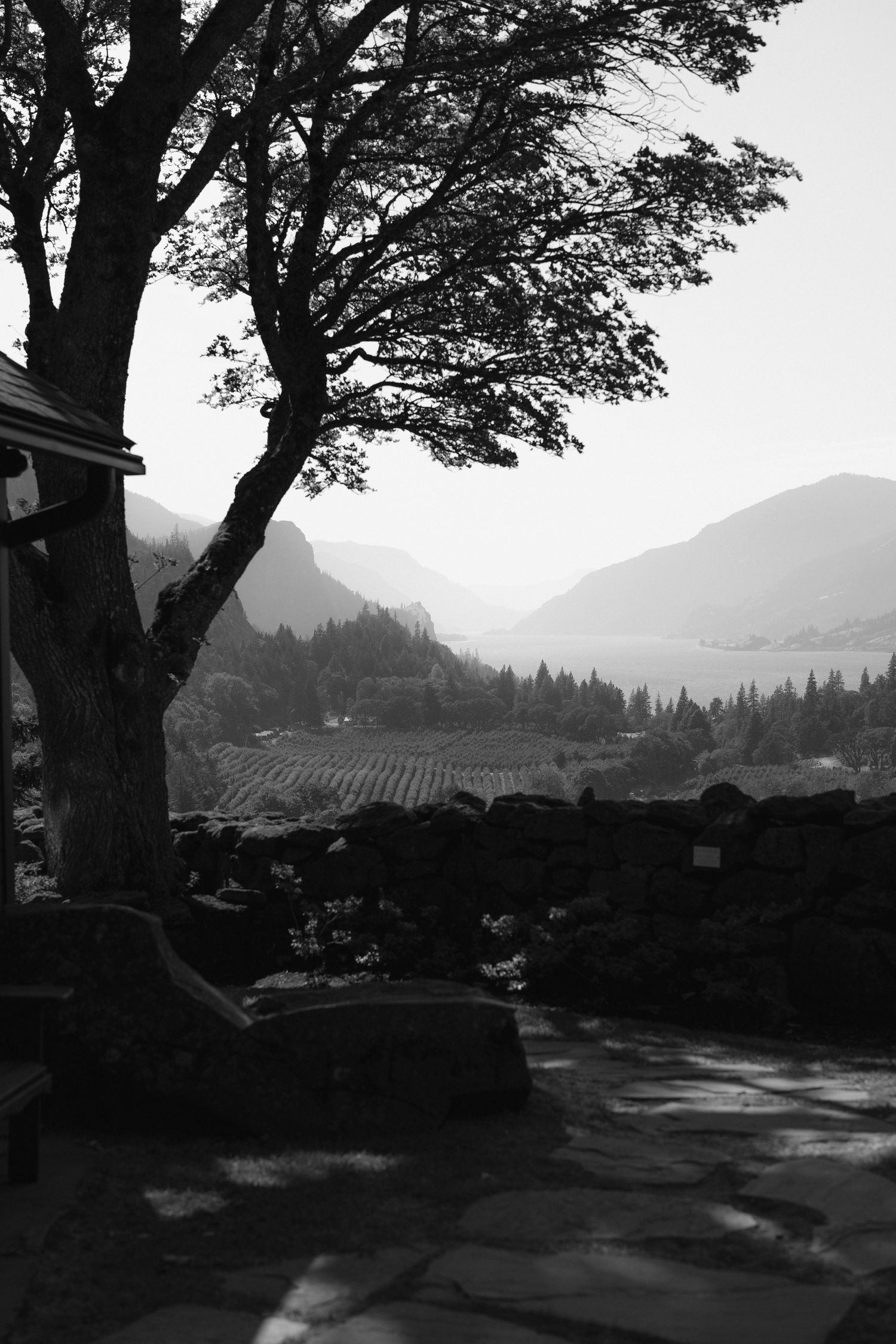 Image from the griffin house located at hoodriver oregon. Wedding venue