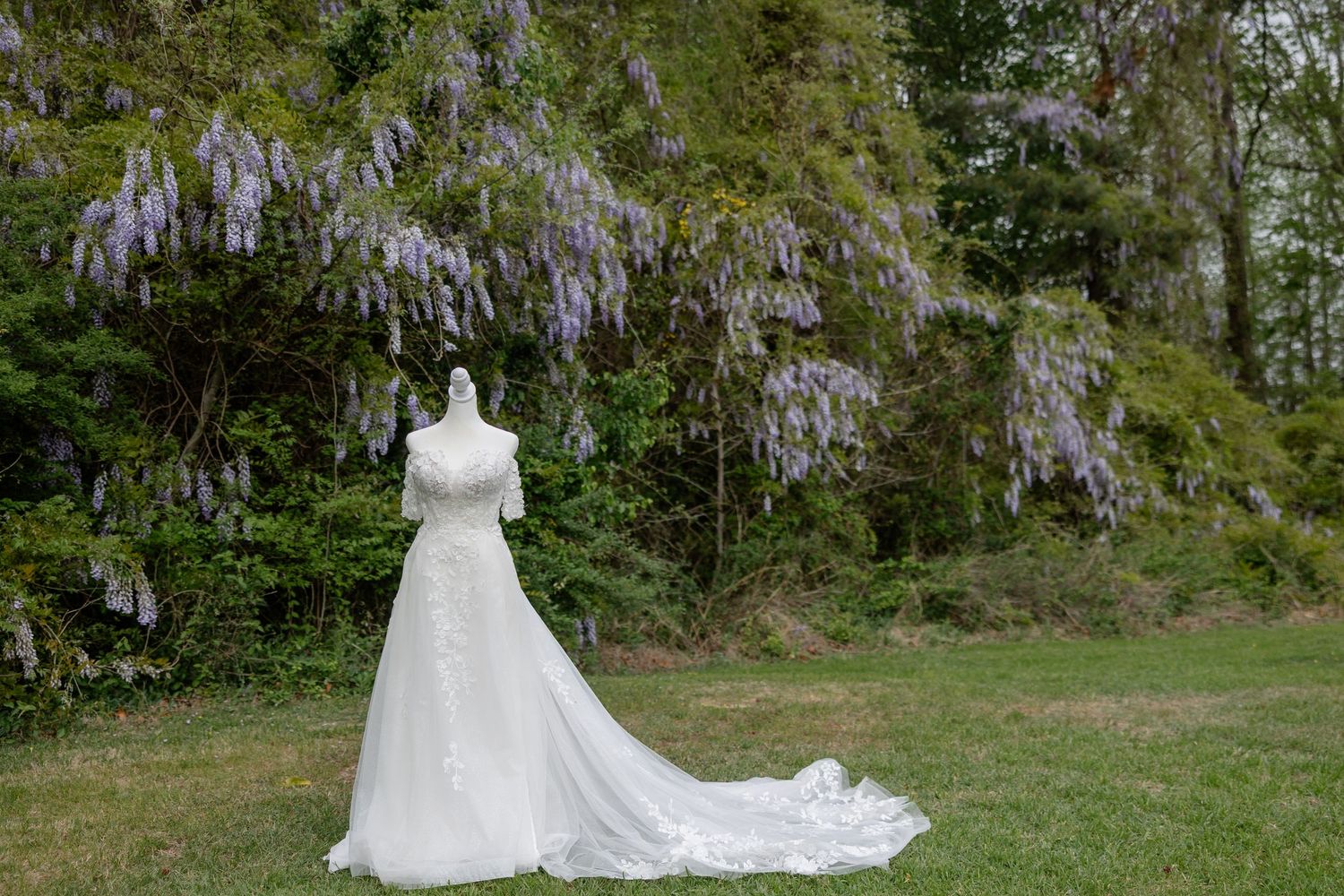 White princess style wedding dress displayed on a grassy lawn with Spanish moss draped trees in the background.