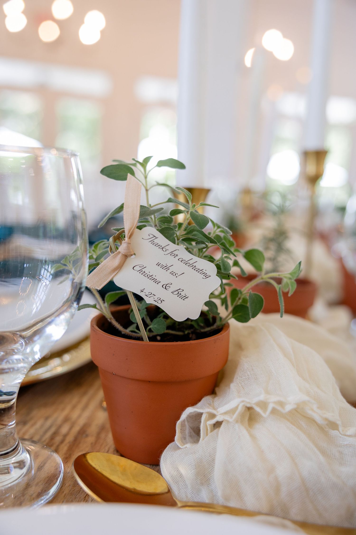 Small potted plant with greenery serves as a rustic wedding table decoration next to glassware.