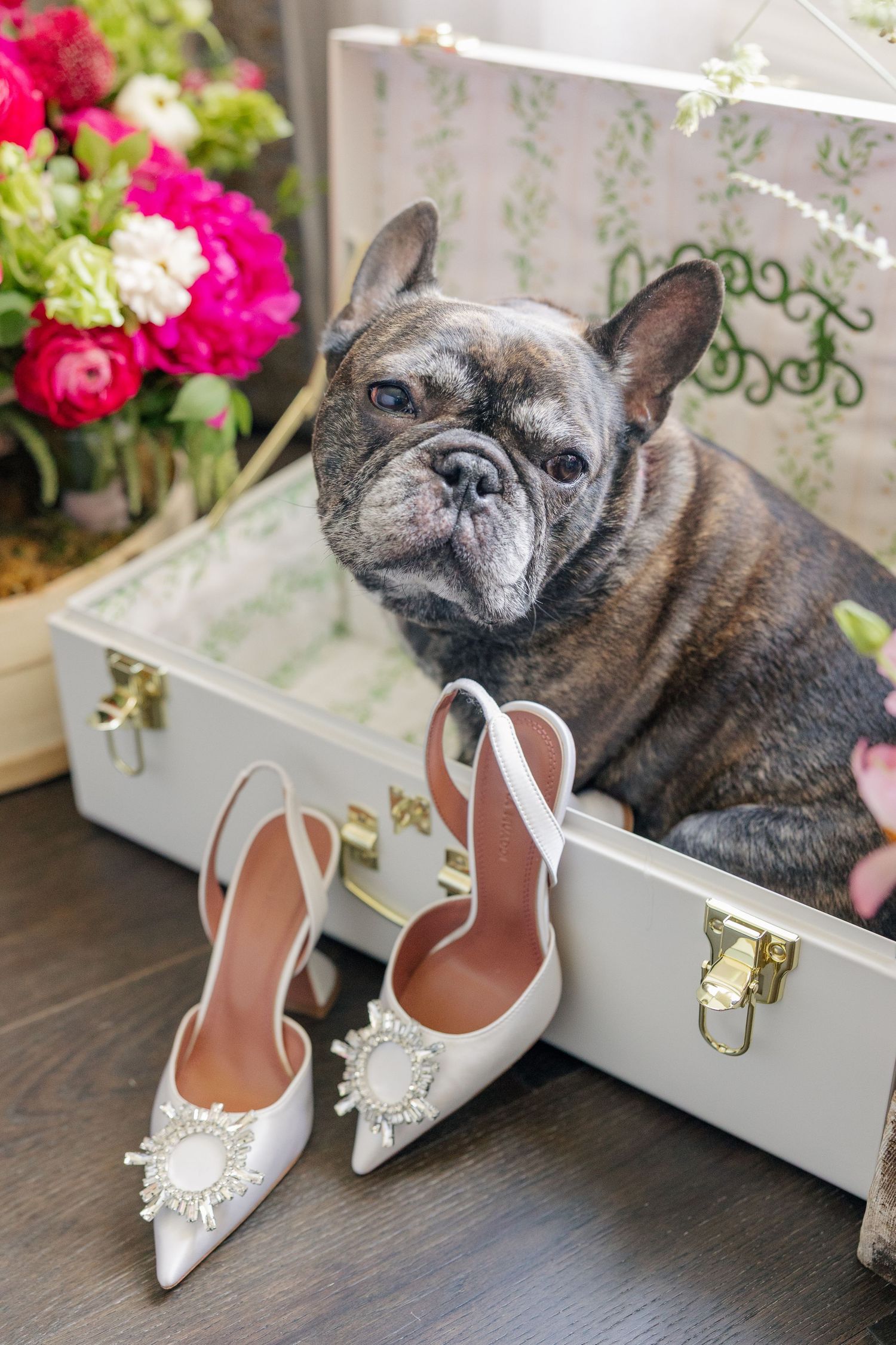 French bulldog sitting in a white suitcase beside white bridal heels with jeweled buckles and pink flowers.