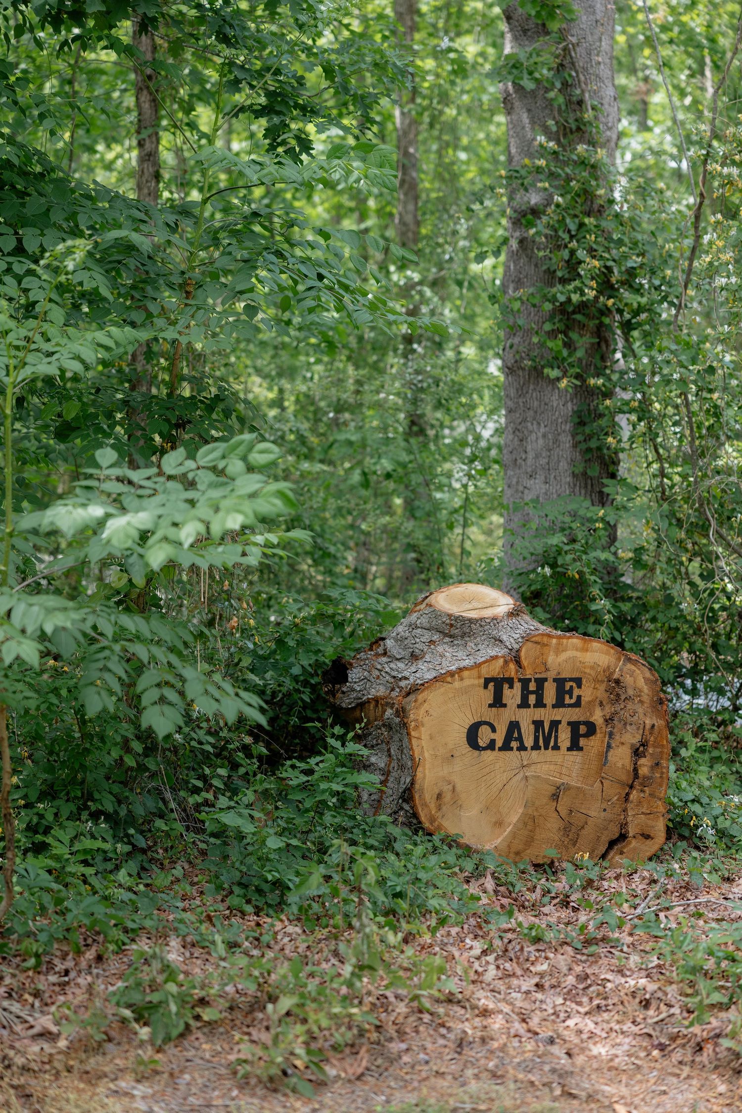 A rustic wooden sign with the text 'THE CAMP' surrounded by lush green foliage in a wooded area.