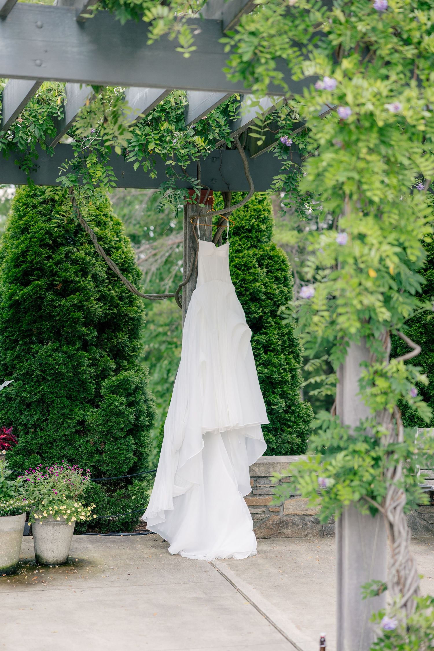 A white wedding dress hangs elegantly from a garden pergola surrounded by lush green foliage and purple flowers.