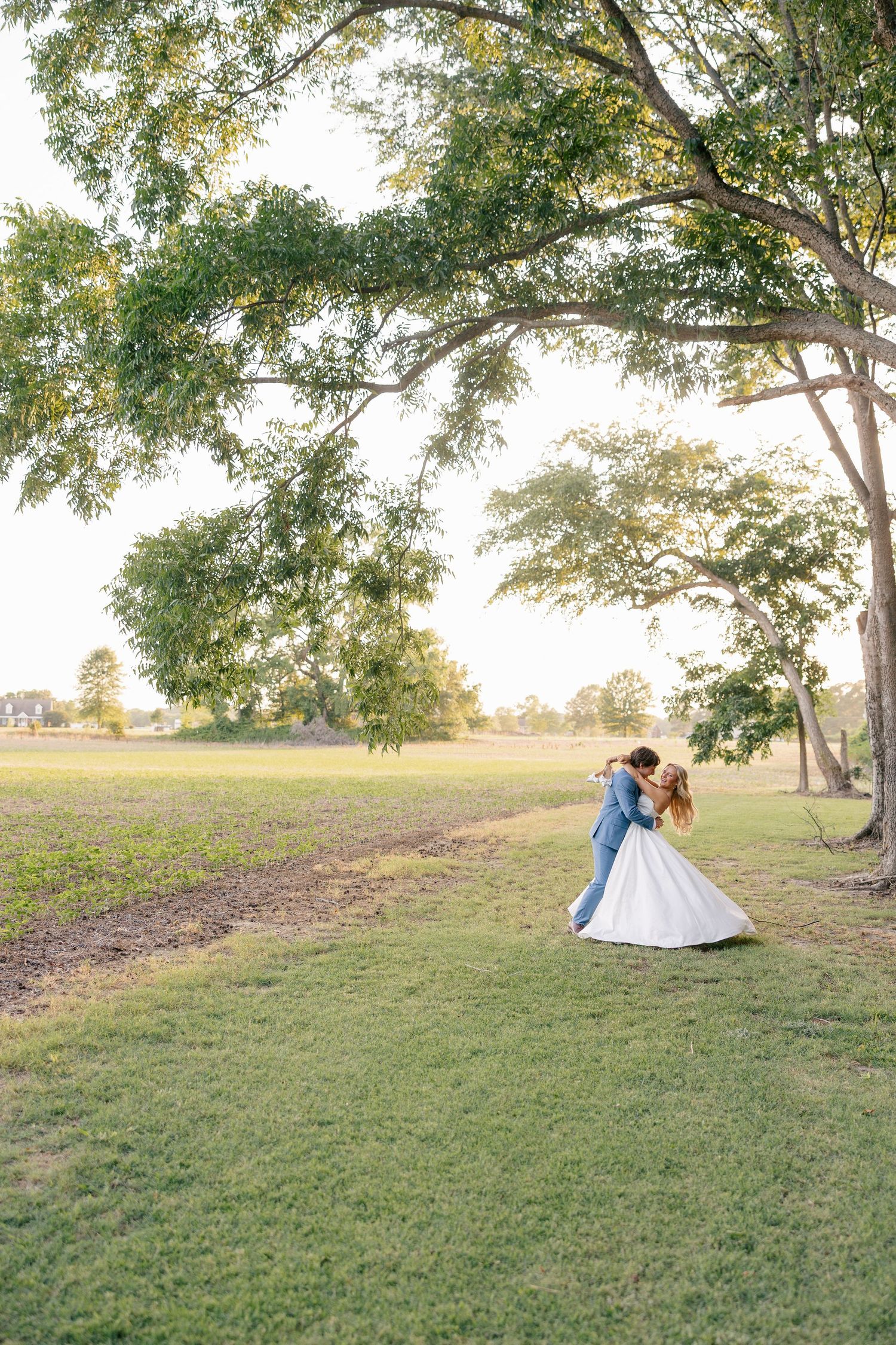 Groom dips bride under a large tree in a golden sunlit open field during wedding portraits.