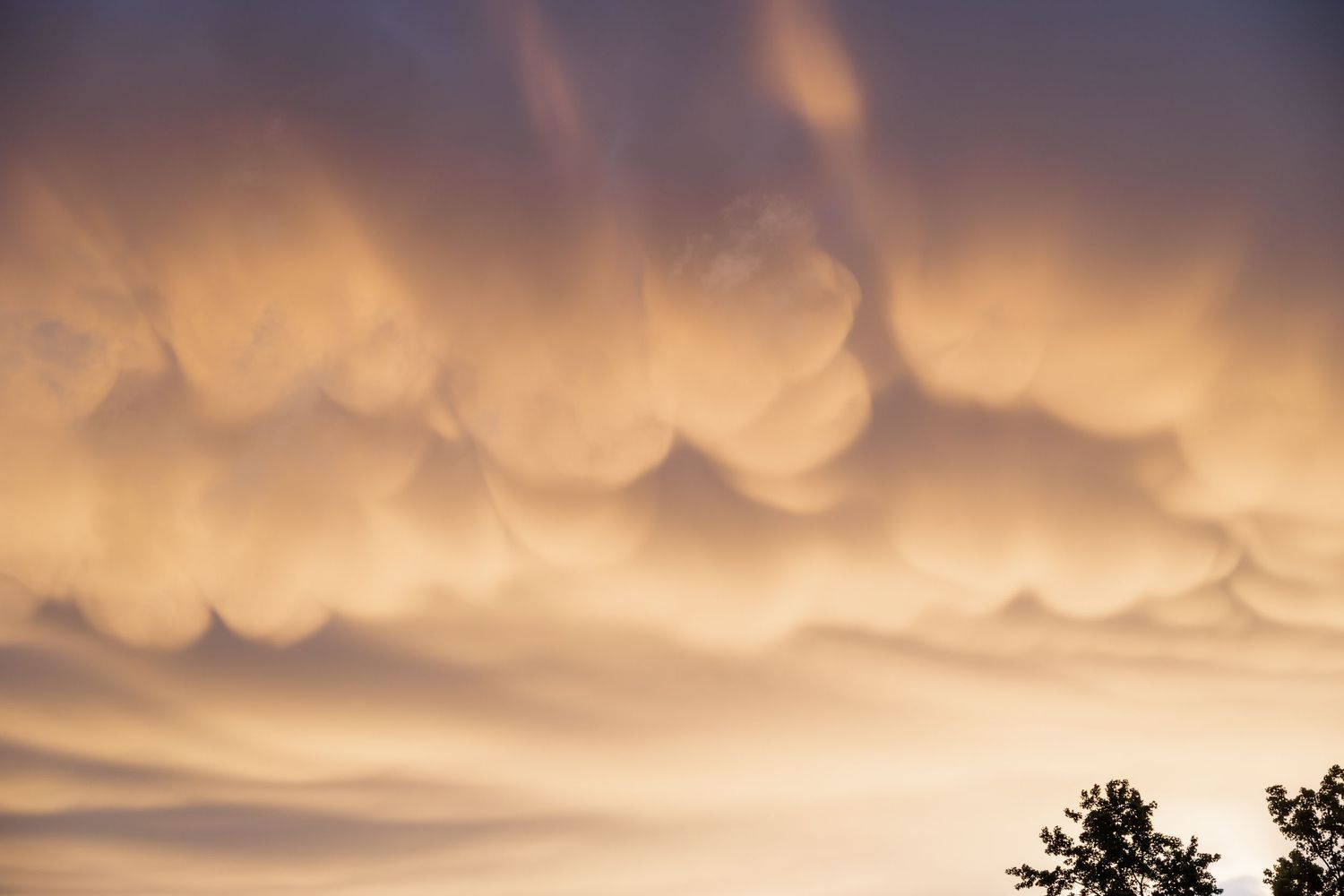 Dramatic mammatus clouds at sunset create a stunning orange sky.