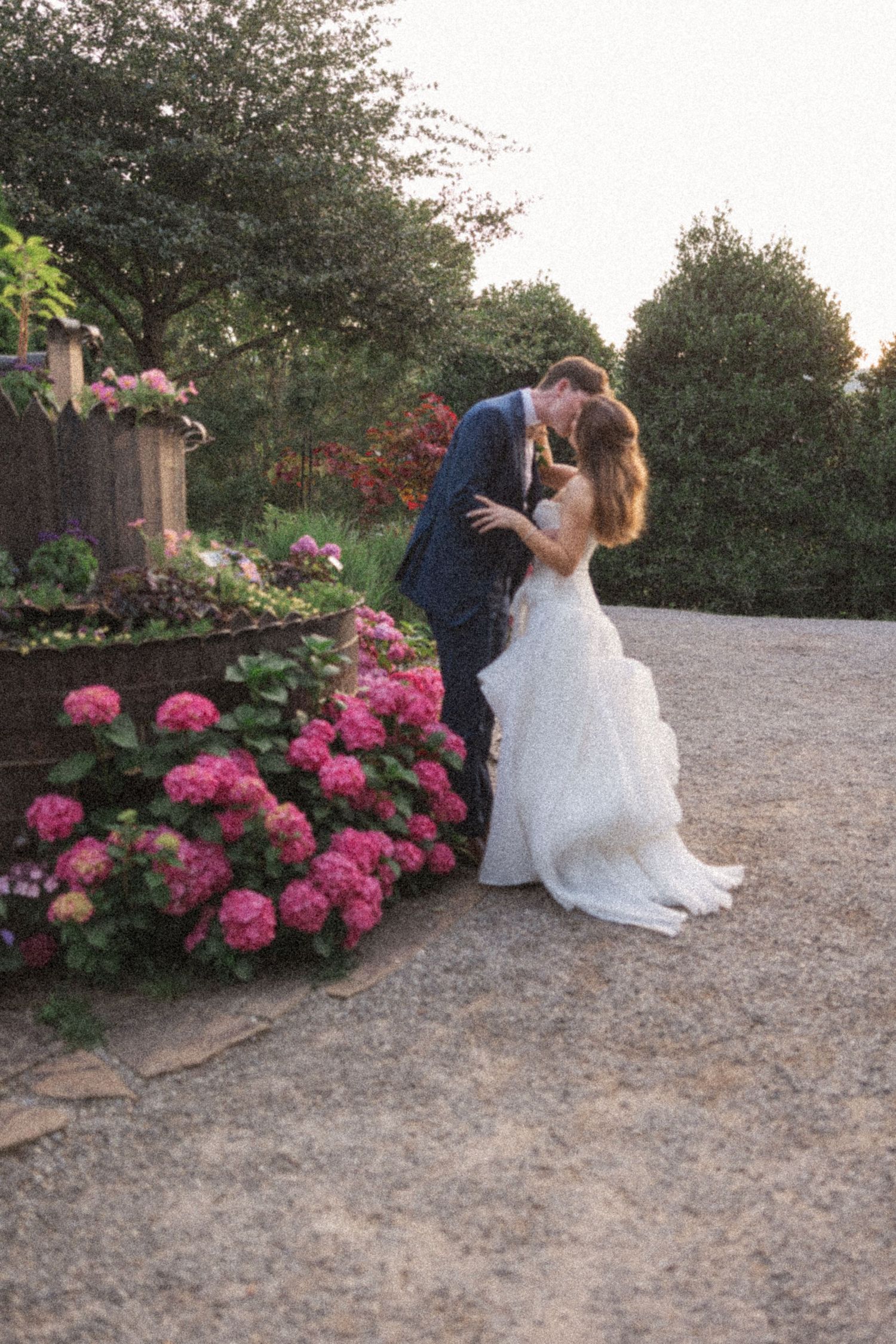 A romantic wedding moment captured in a garden setting with blooming pink hydrangeas and a gravel pathway at dusk.