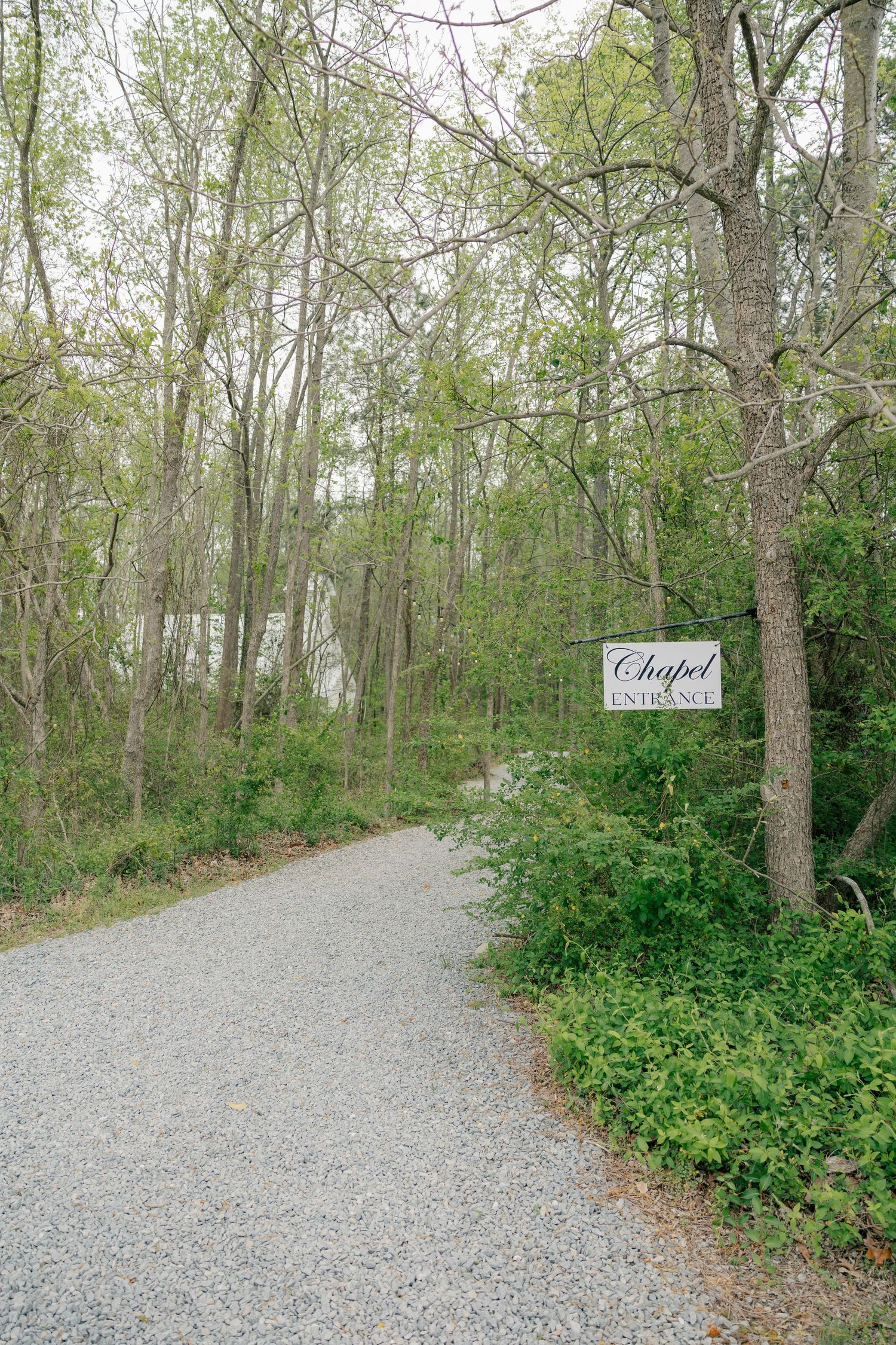 A winding gravel path through a wooded area with green foliage and trees on both sides.