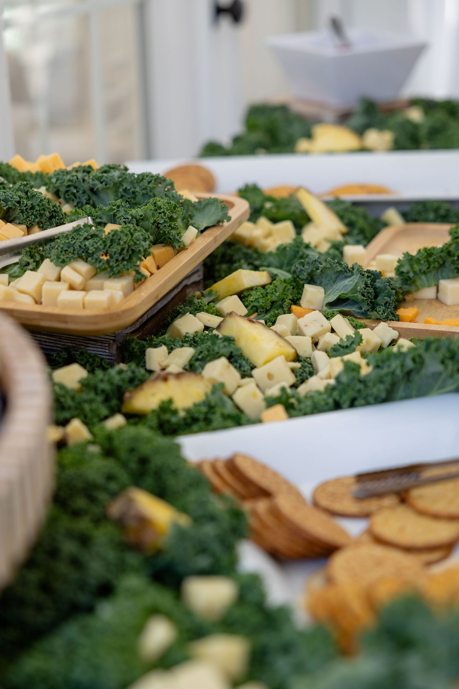 A catering display featuring cheese, crackers and kale garnish arranged on white serving platters.
