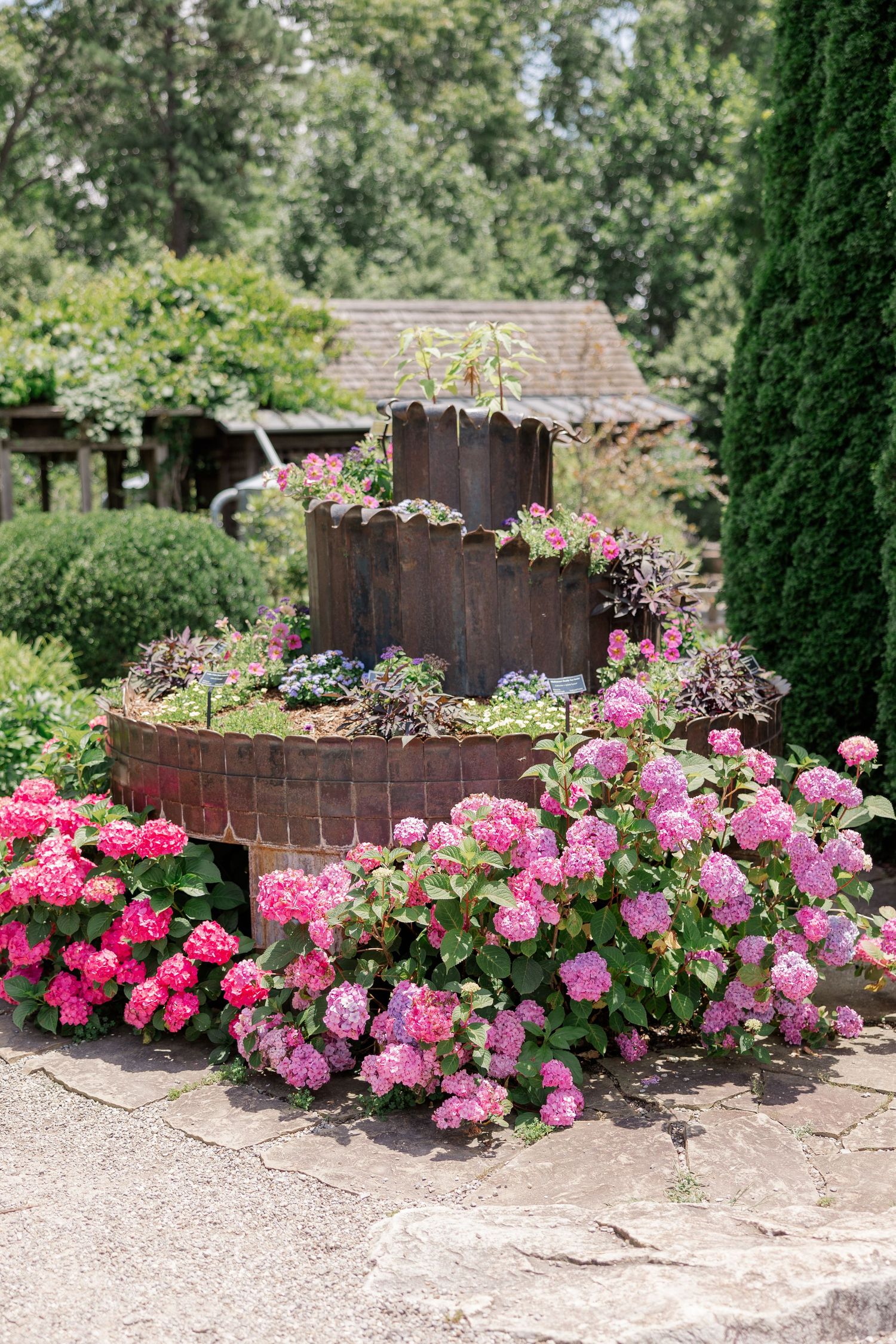 Vibrant pink roses blooming along a rustic brick garden wall in summer.