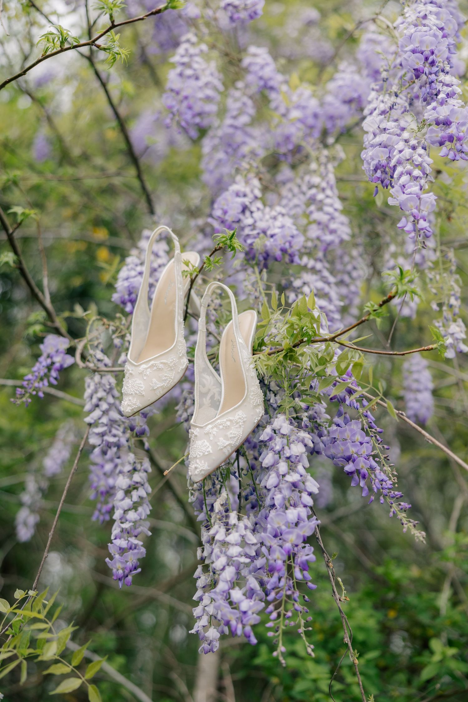 Delicate ivory wedding shoes dangle elegantly among blooming purple wisteria flowers in a romantic garden setting.