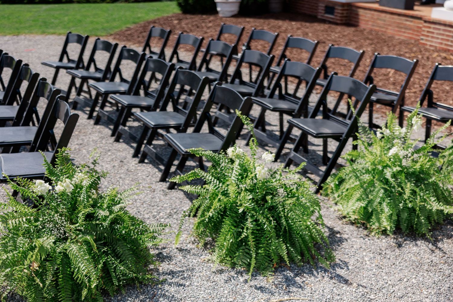 Row of black folding chairs set up outdoors with green ferns as aisle decorations.