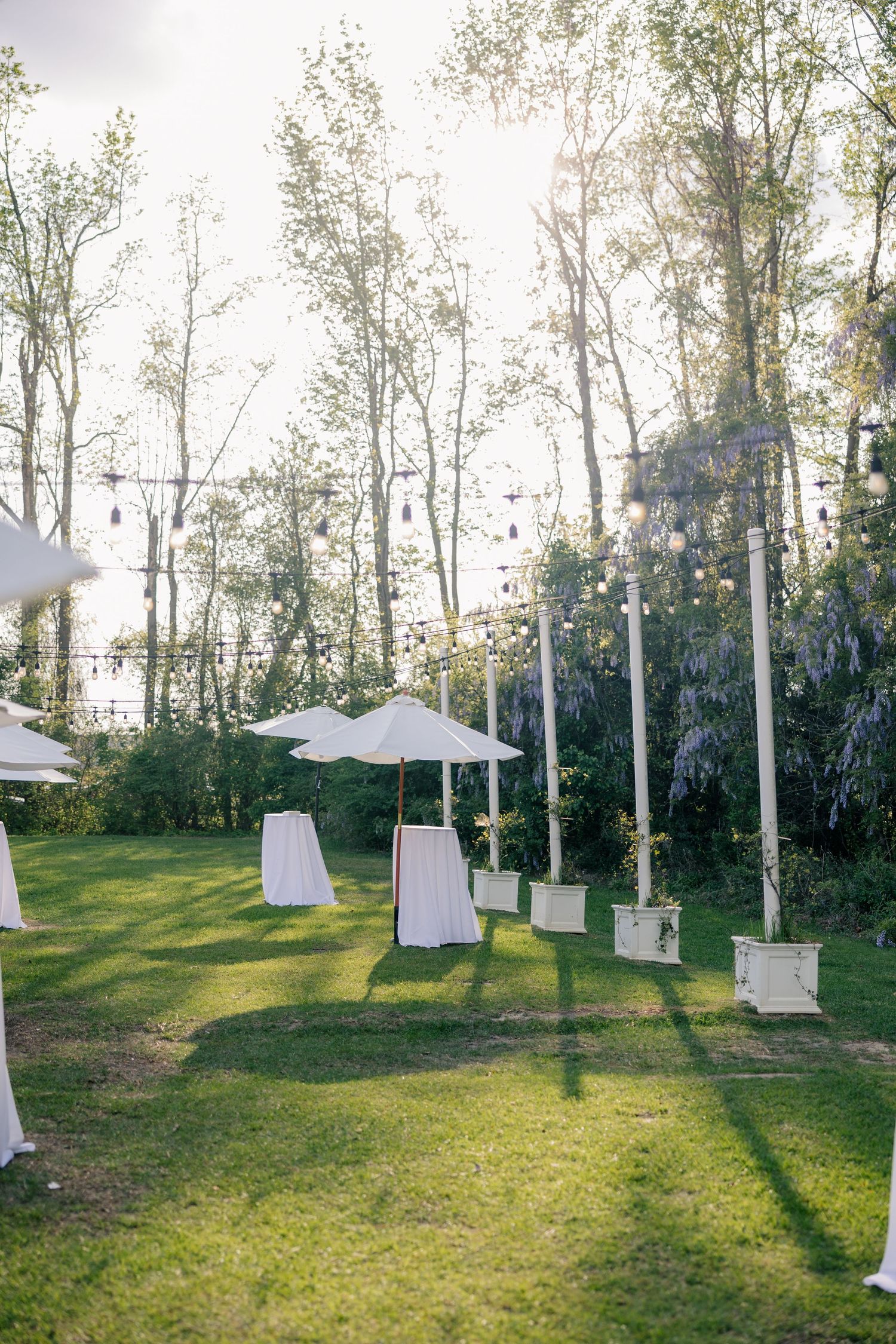White decorations hang elegantly from birch trees in a serene outdoor garden setting.