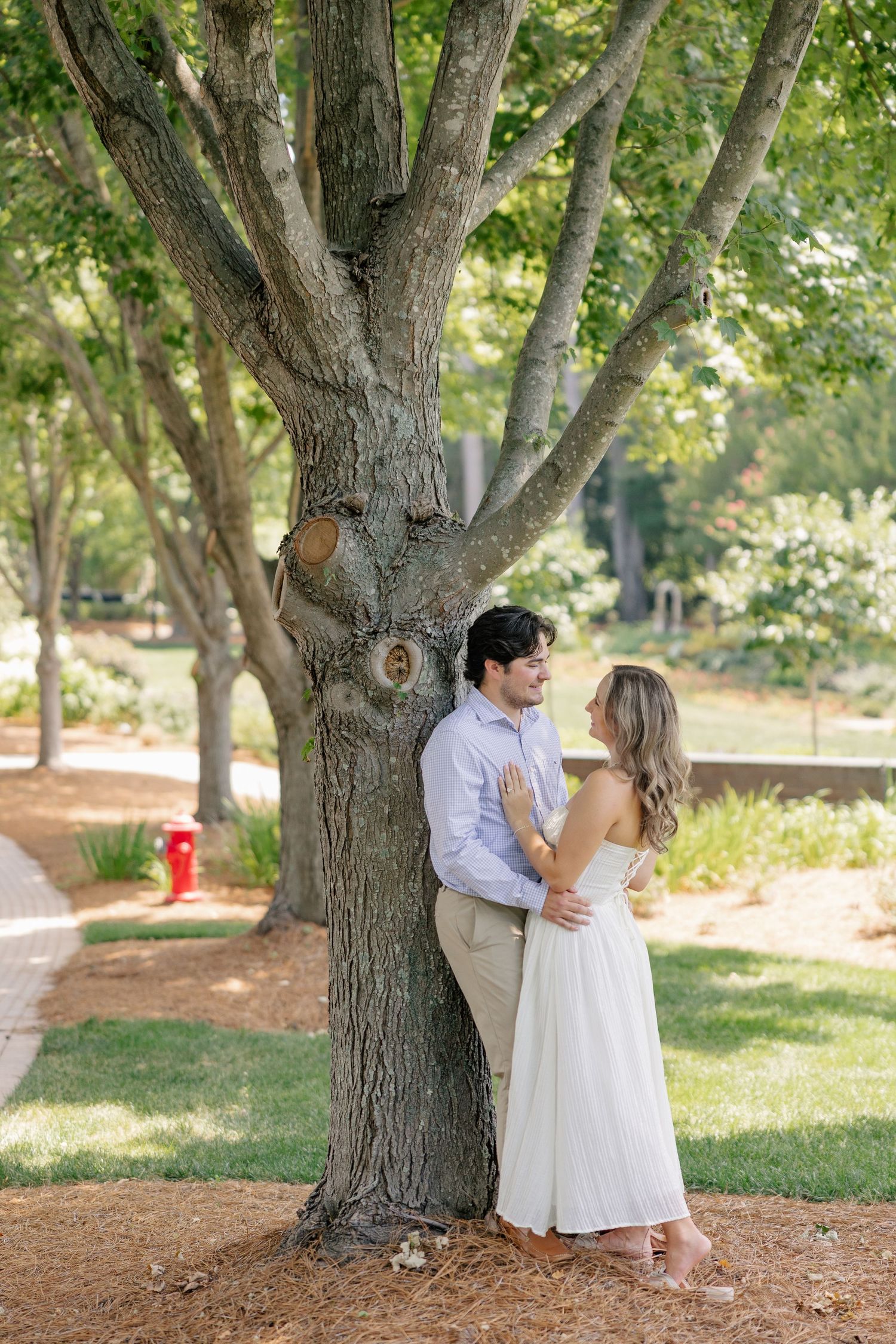 Couple sharing a romantic moment leaning against a large tree trunk in a sunny park setting.