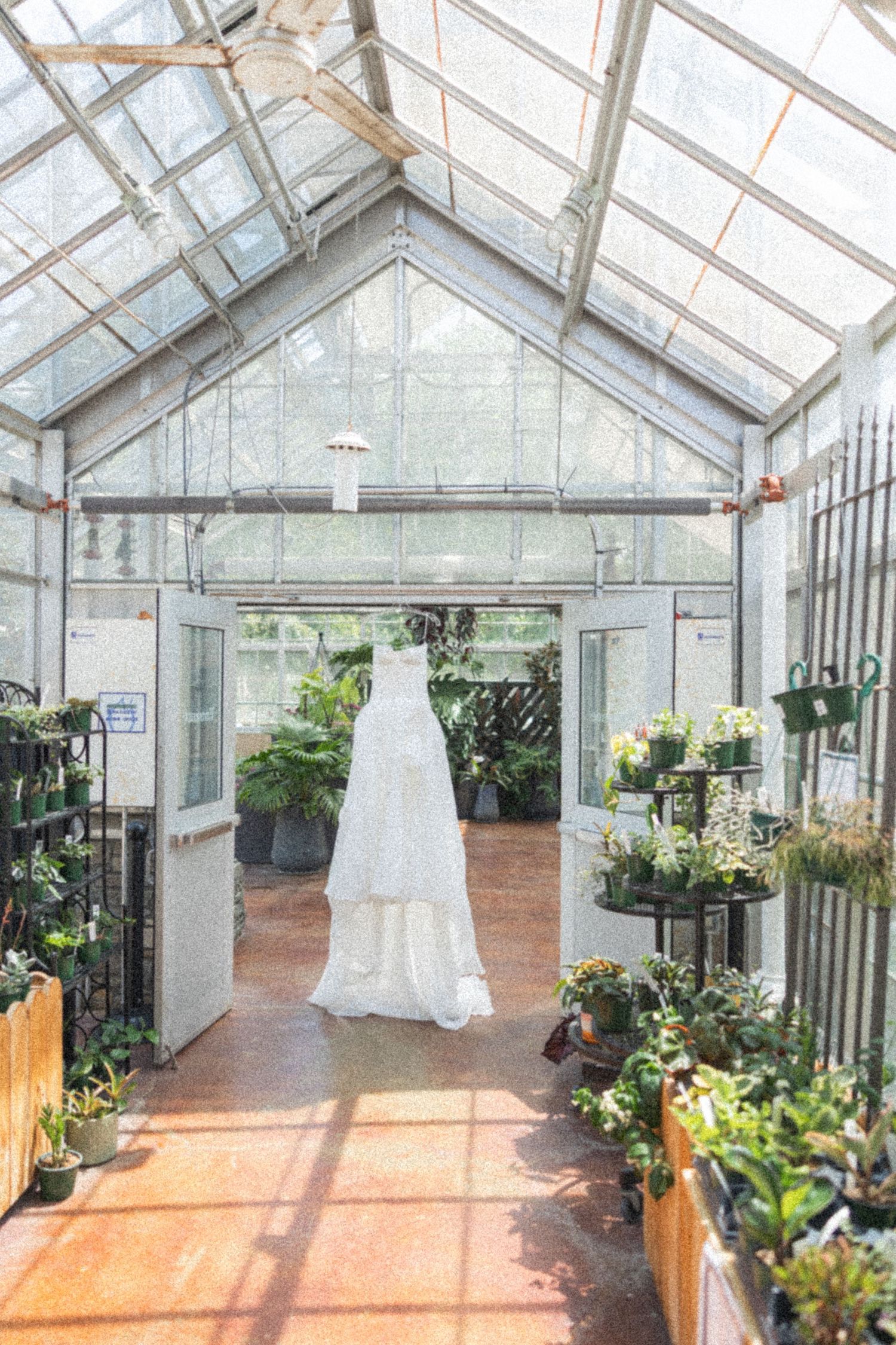 Interior of a bright greenhouse with glass ceiling and potted plants along the sides.