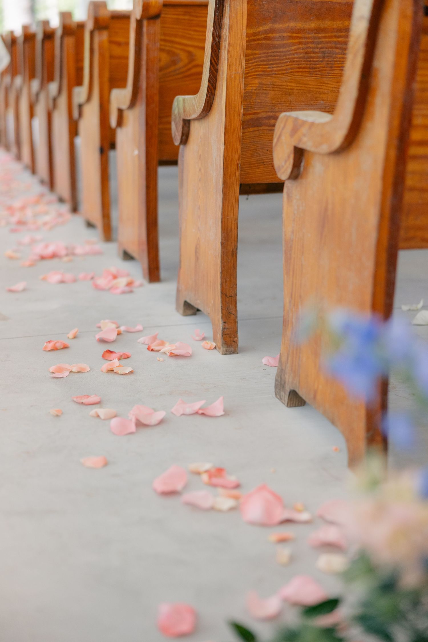 Pink rose petals scattered on the floor between wooden church pews.