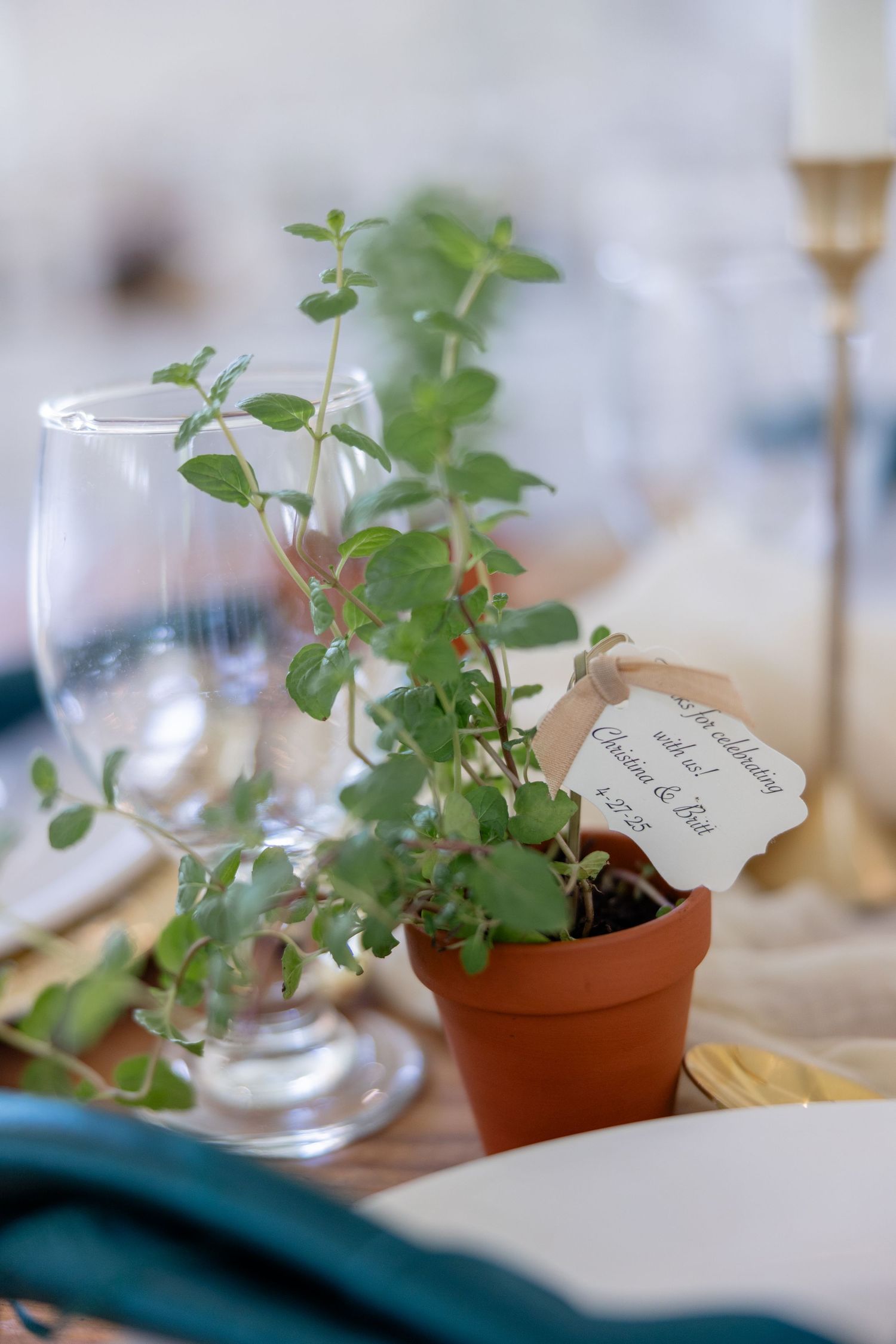 Small potted plants with name cards serve as wedding favor decorations on an elegant table setting.