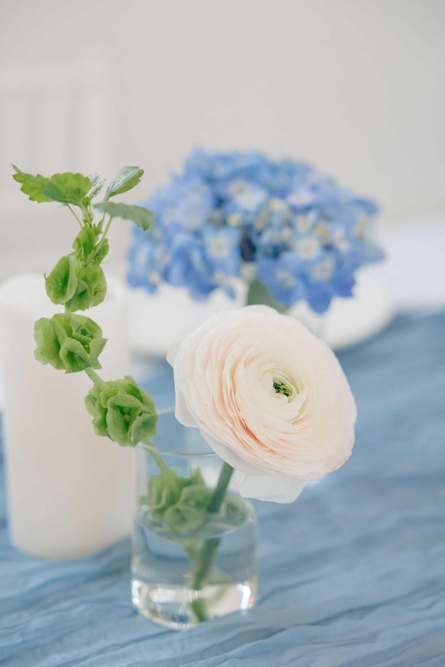 Elegant floral arrangement with white ranunculus, green lisianthus buds, and blue hydrangeas in glass vases on blue linen.