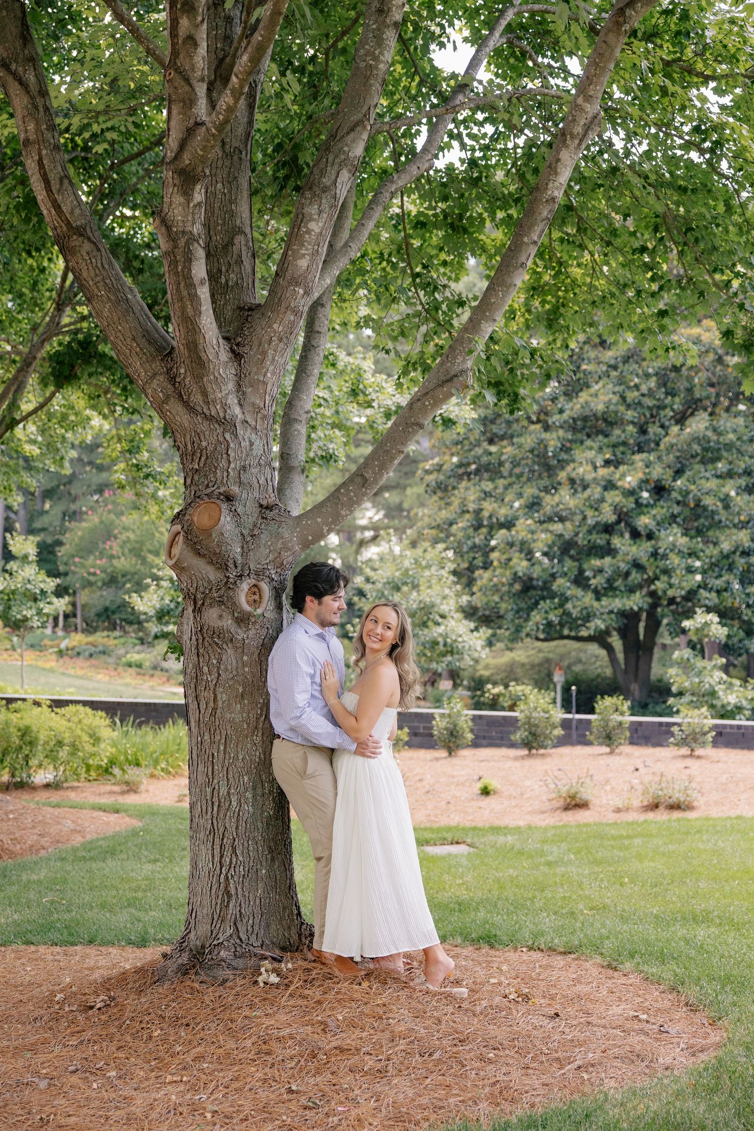 Engaged couple posing romantically under a large shade tree in a sunlit park during summer engagement photos.