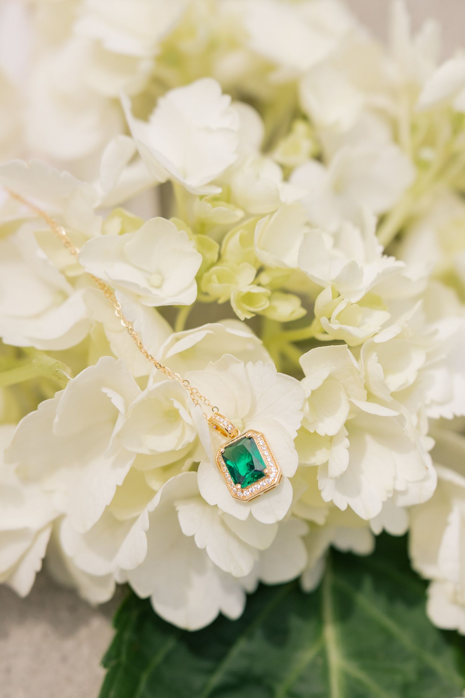 Close up macro shot of white floral petals with emerald gemstone jewelry detail.
