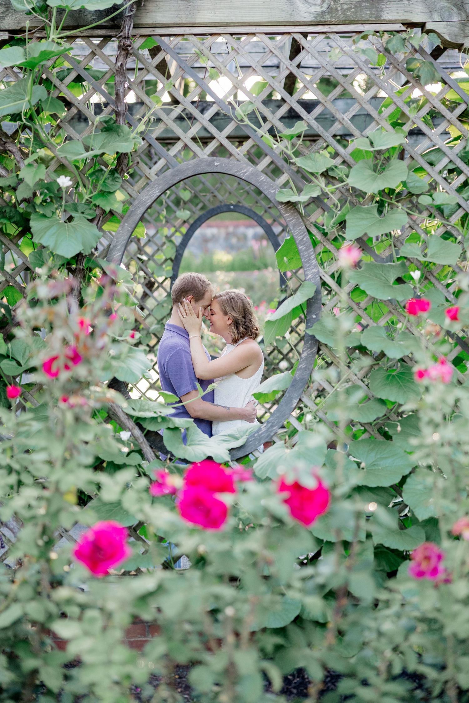 Asheville Wedding Photographer. Romantic garden scene with white lattice trellis and bright pink flowers blooming in the foreground.