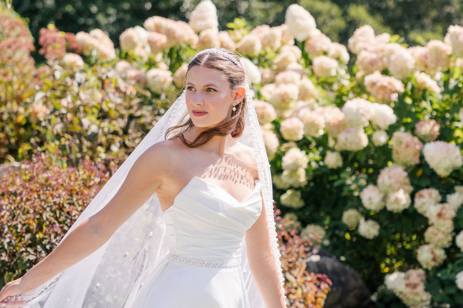 Bride in white strapless gown and veil poses outdoors among blooming white hydrangeas on a sunny day.