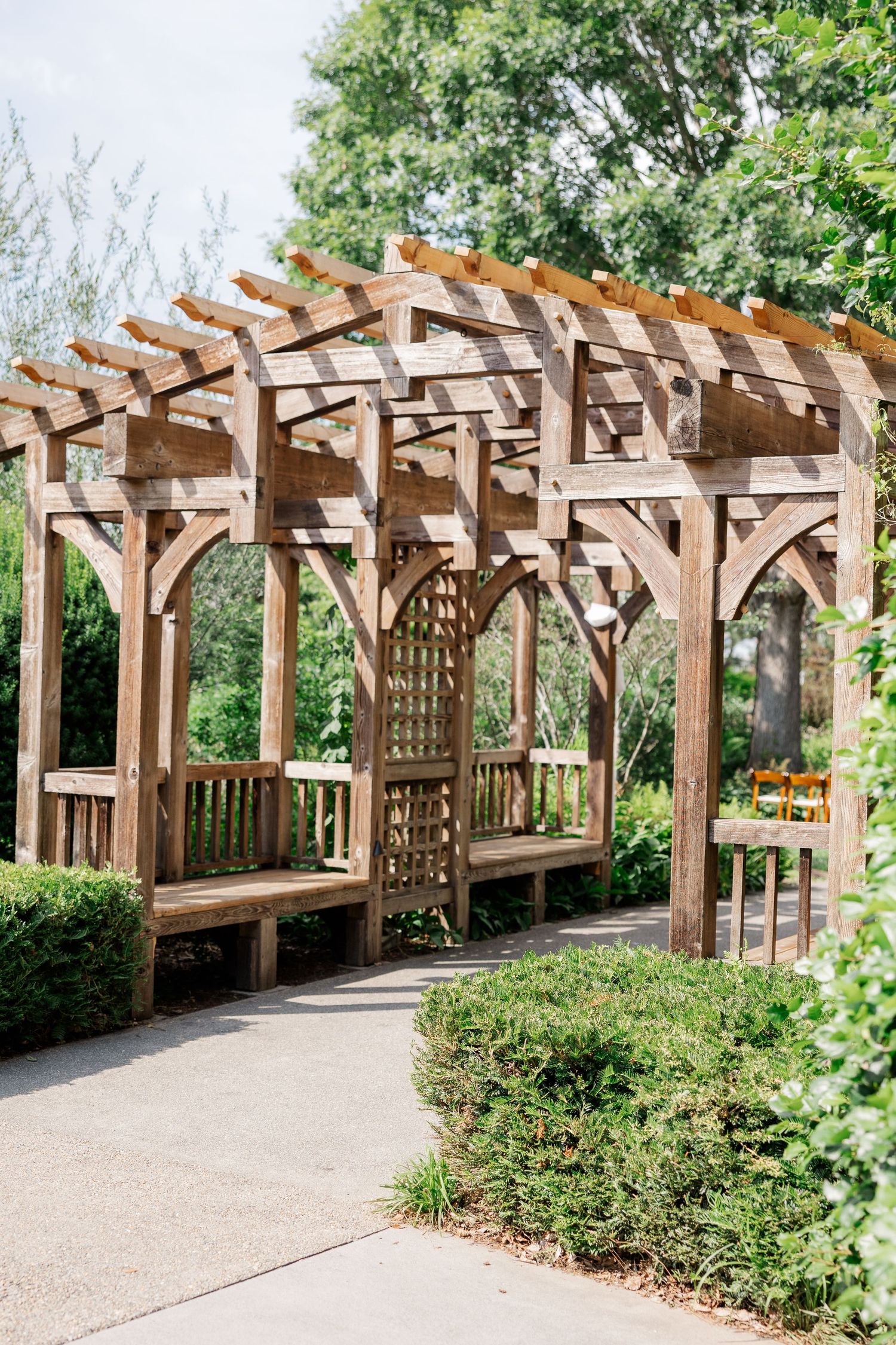 Wooden pergola pathway in a garden with climbing plants and gravel walkway.