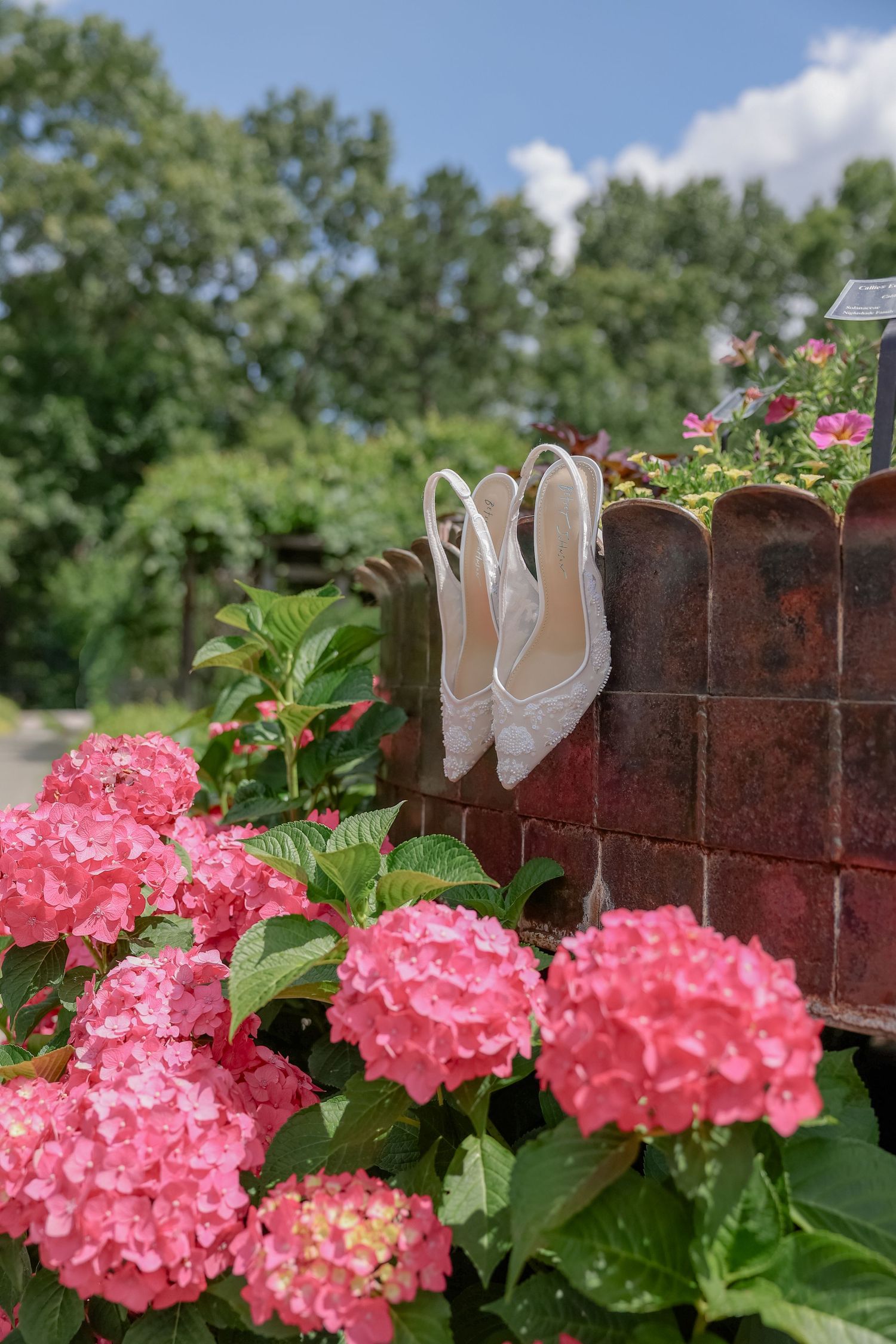 Pink hydrangeas blooming against a brick wall with white shoes displayed on top.