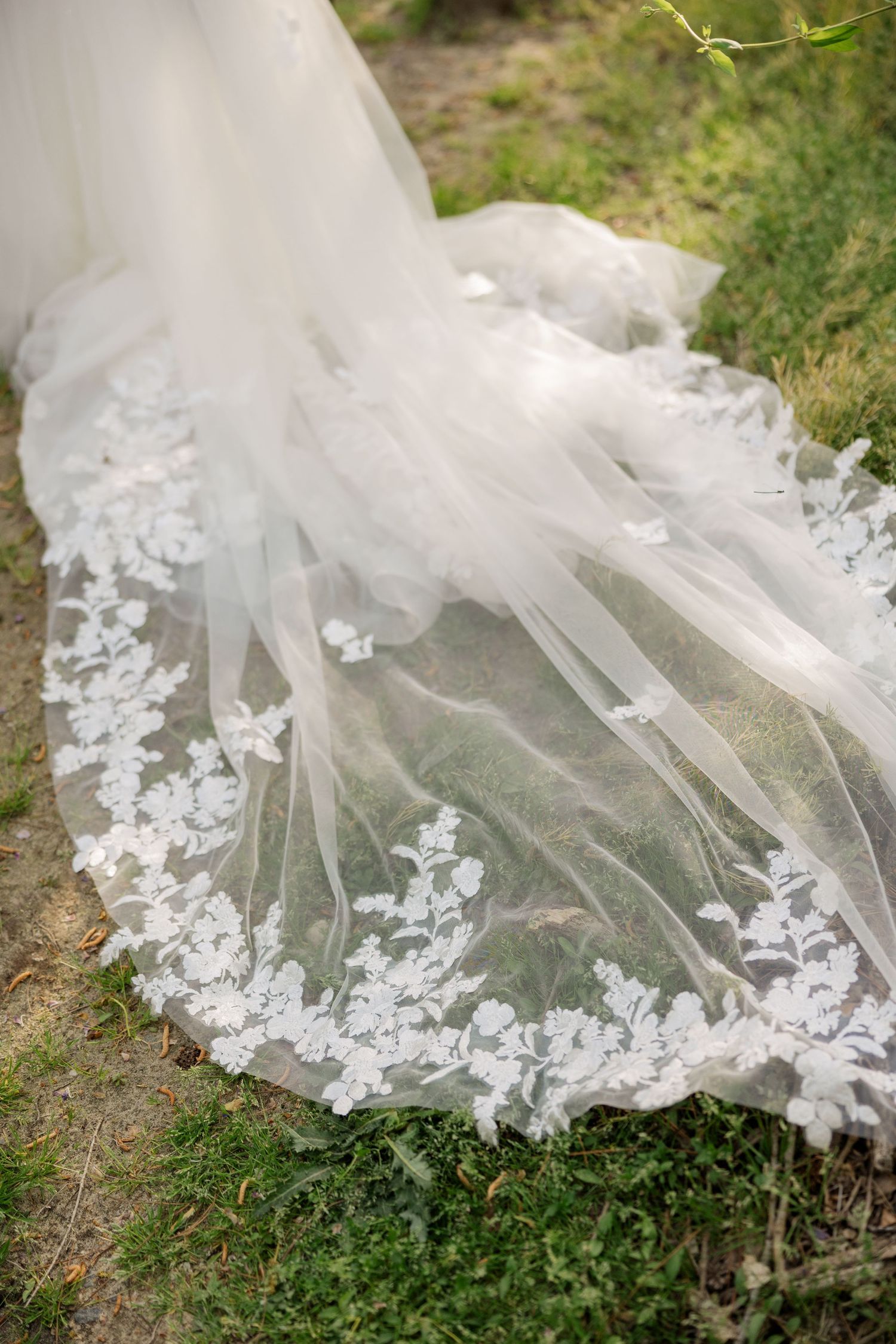 Delicate white lace trim adorns the edge of a flowing wedding veil draped over green grass.