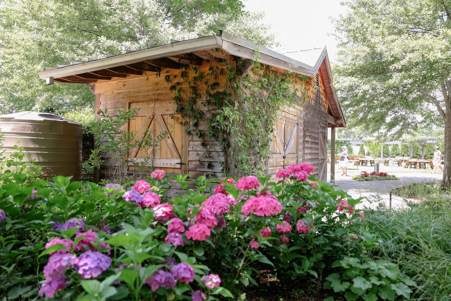 A series of garden images showing vibrant pink and purple flowers blooming alongside rustic wooden structures and greenery.