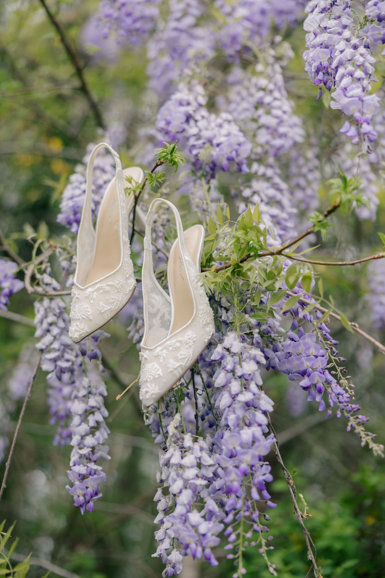 Delicate white lace shoes hanging among blooming purple wisteria flowers in a garden setting.