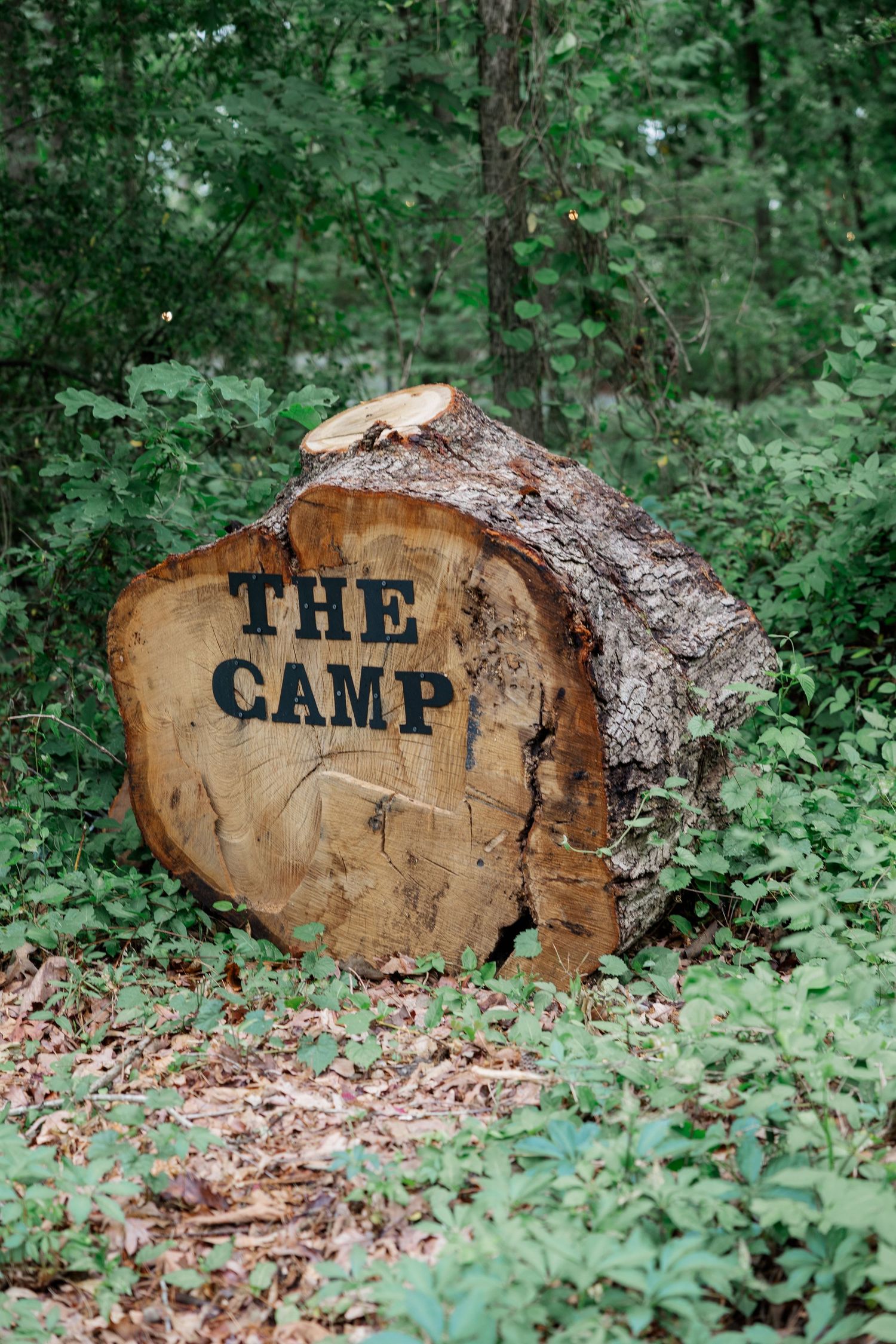 Three wooden log signs spelling 'THE CAMP' rest among green forest foliage.