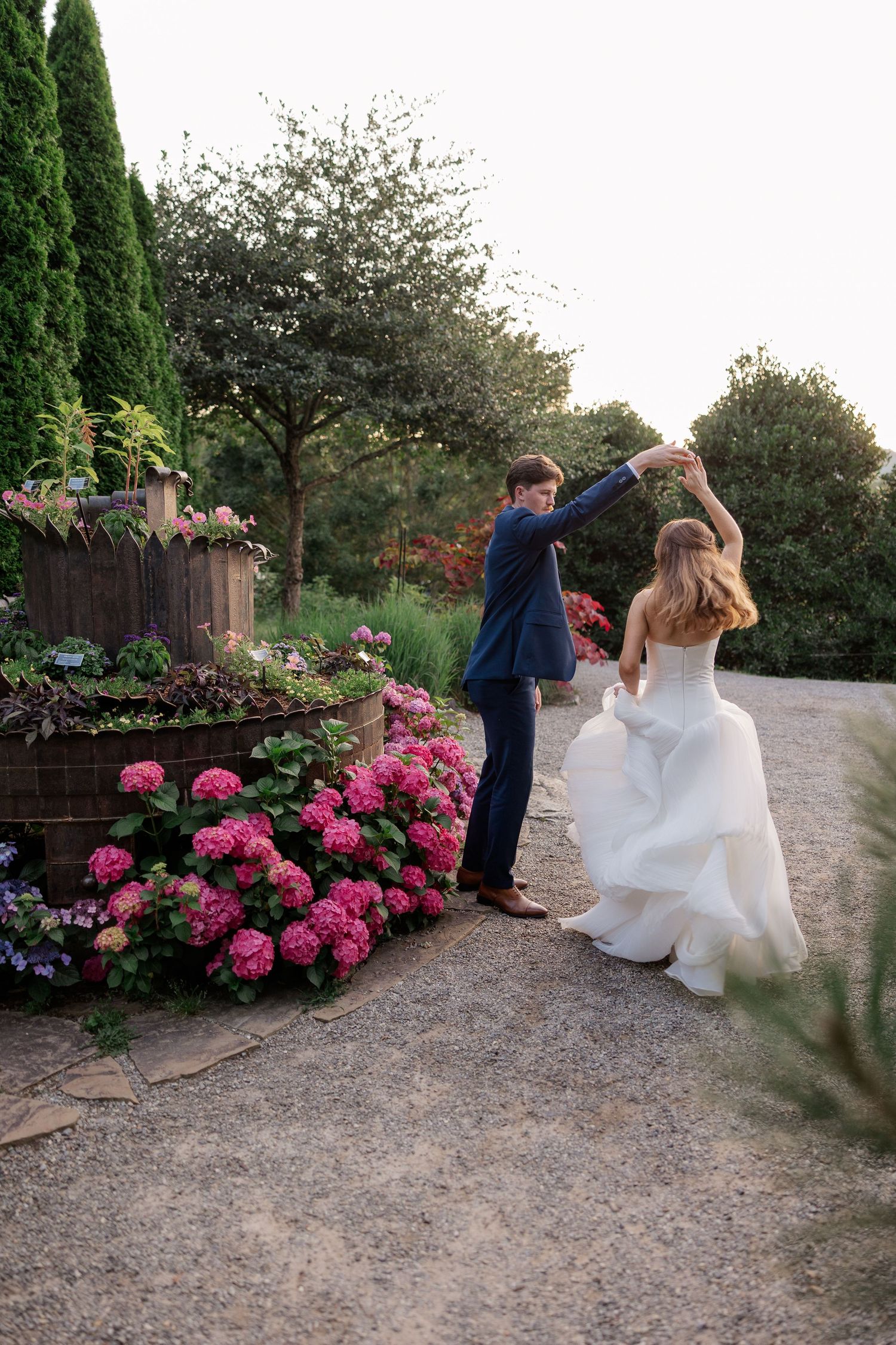 A couple in wedding attire walking along a garden path lined with vibrant pink hydrangea bushes.