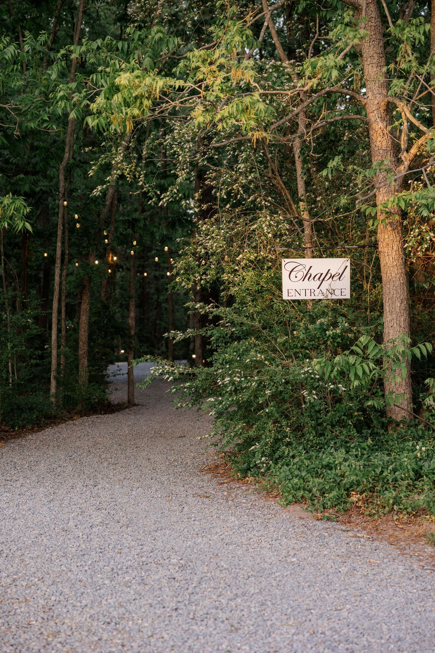 Gravel pathway leading to a chapel entrance with string lights and woodland surroundings.