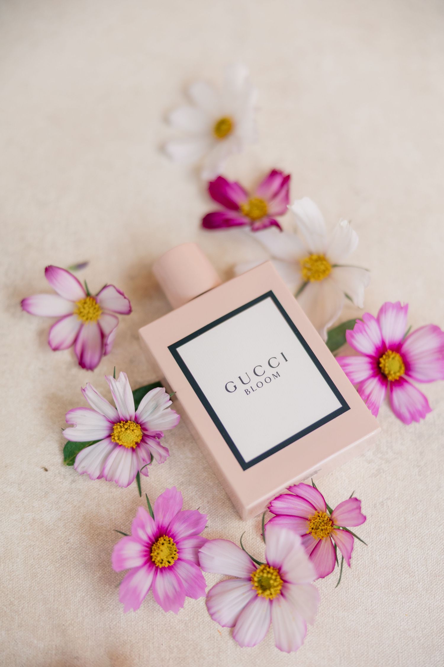 Gucci Bloom perfume bottle surrounded by pink and white cosmos flowers on a neutral background.