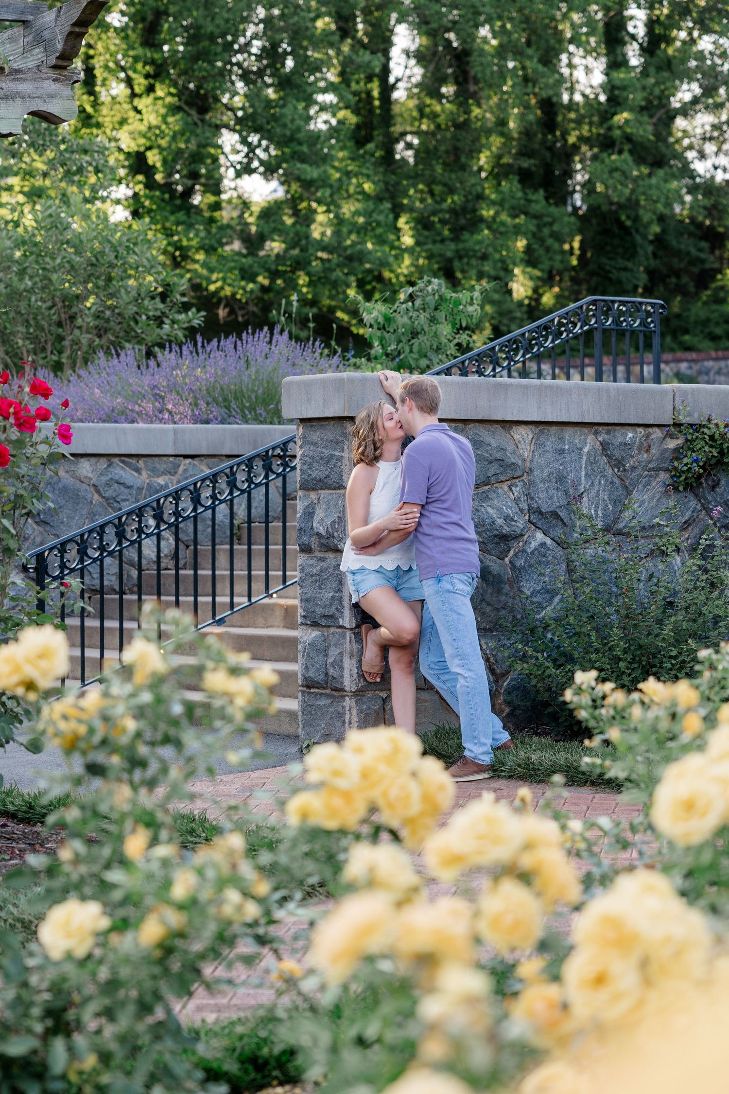 A romantic moment captured in a garden with yellow roses and iron railings in the foreground.