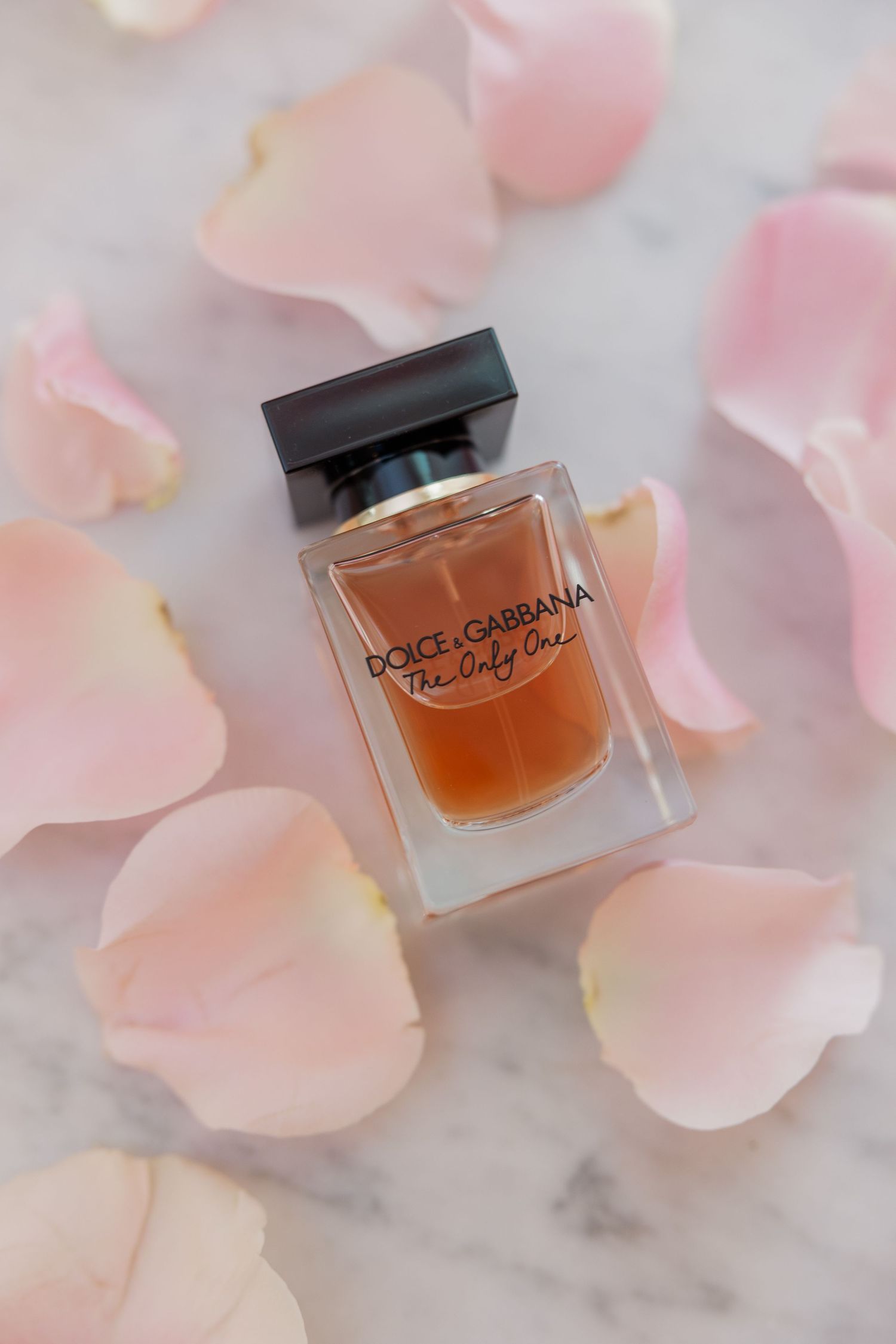 Dolce & Gabbana perfume bottles arranged with delicate pink rose petals on marble surface.