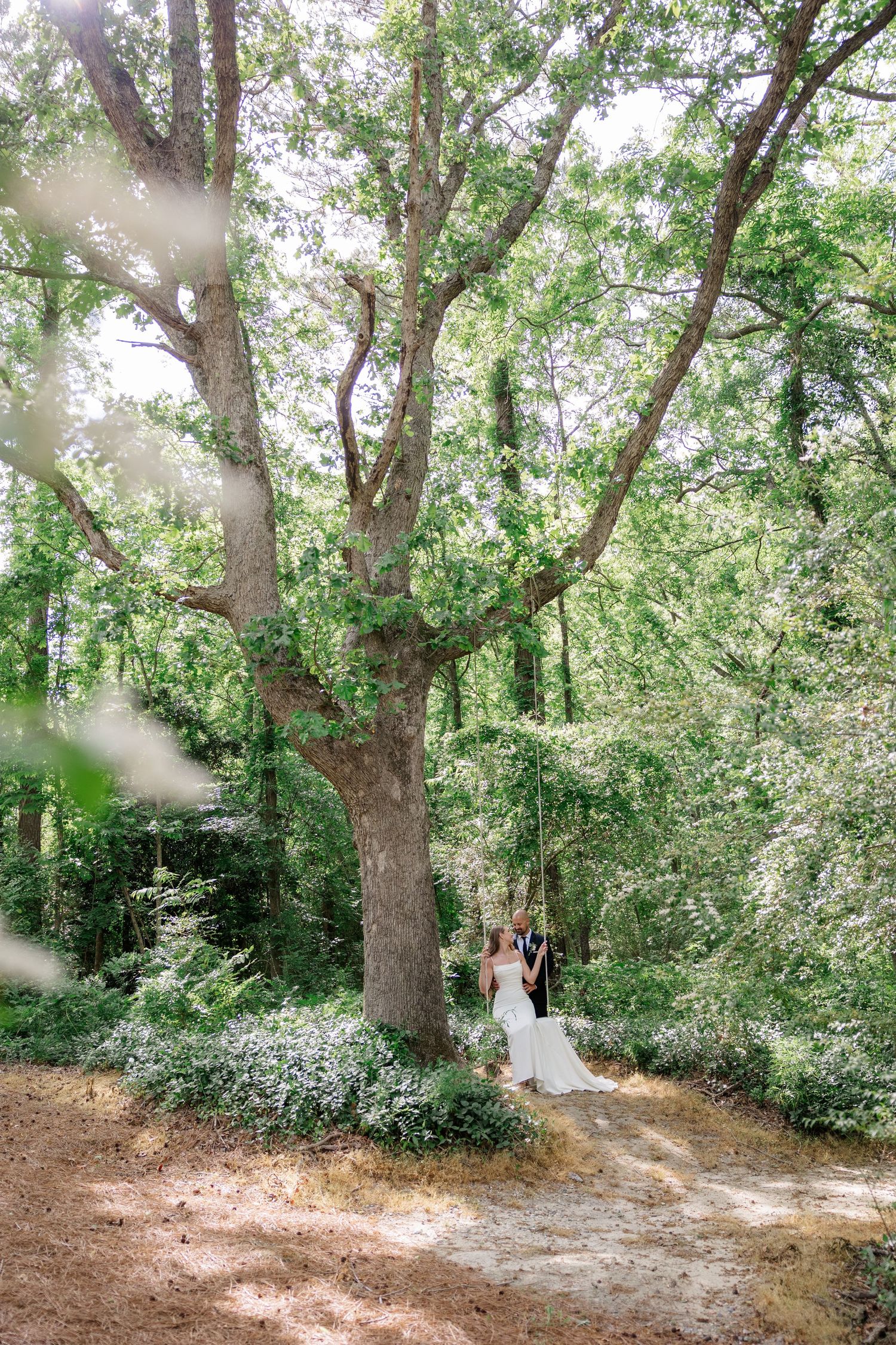 A sunlit forest path with large trees creates a romantic backdrop for a distant wedding ceremony.