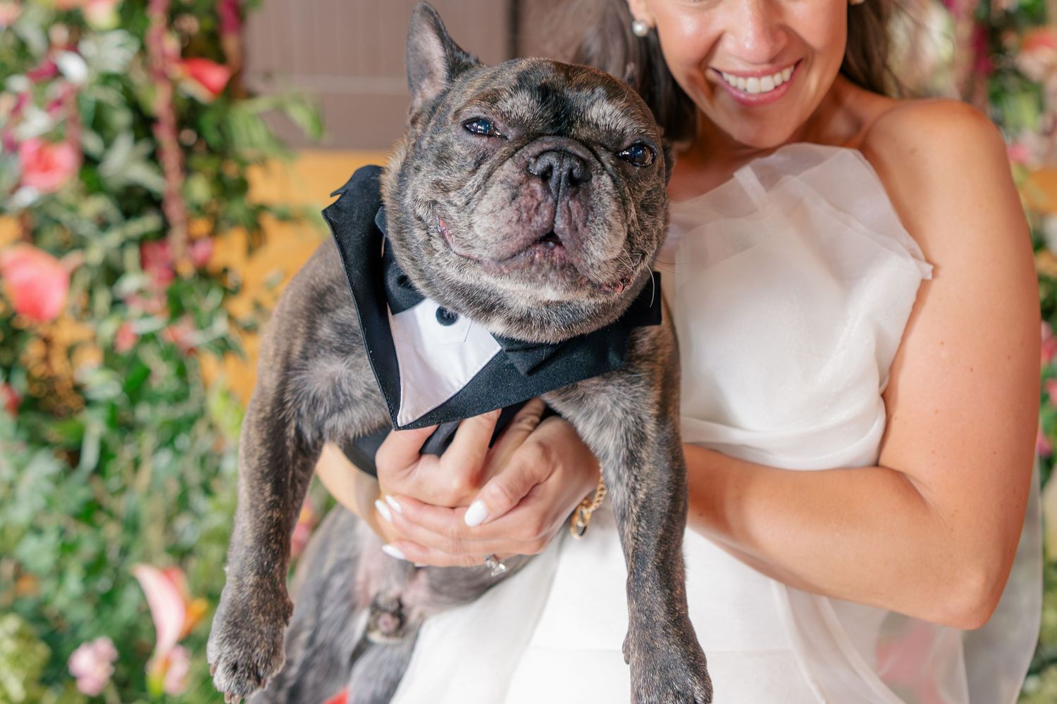 Smiling bride holds French bulldog dressed in a tiny tuxedo at her wedding.
