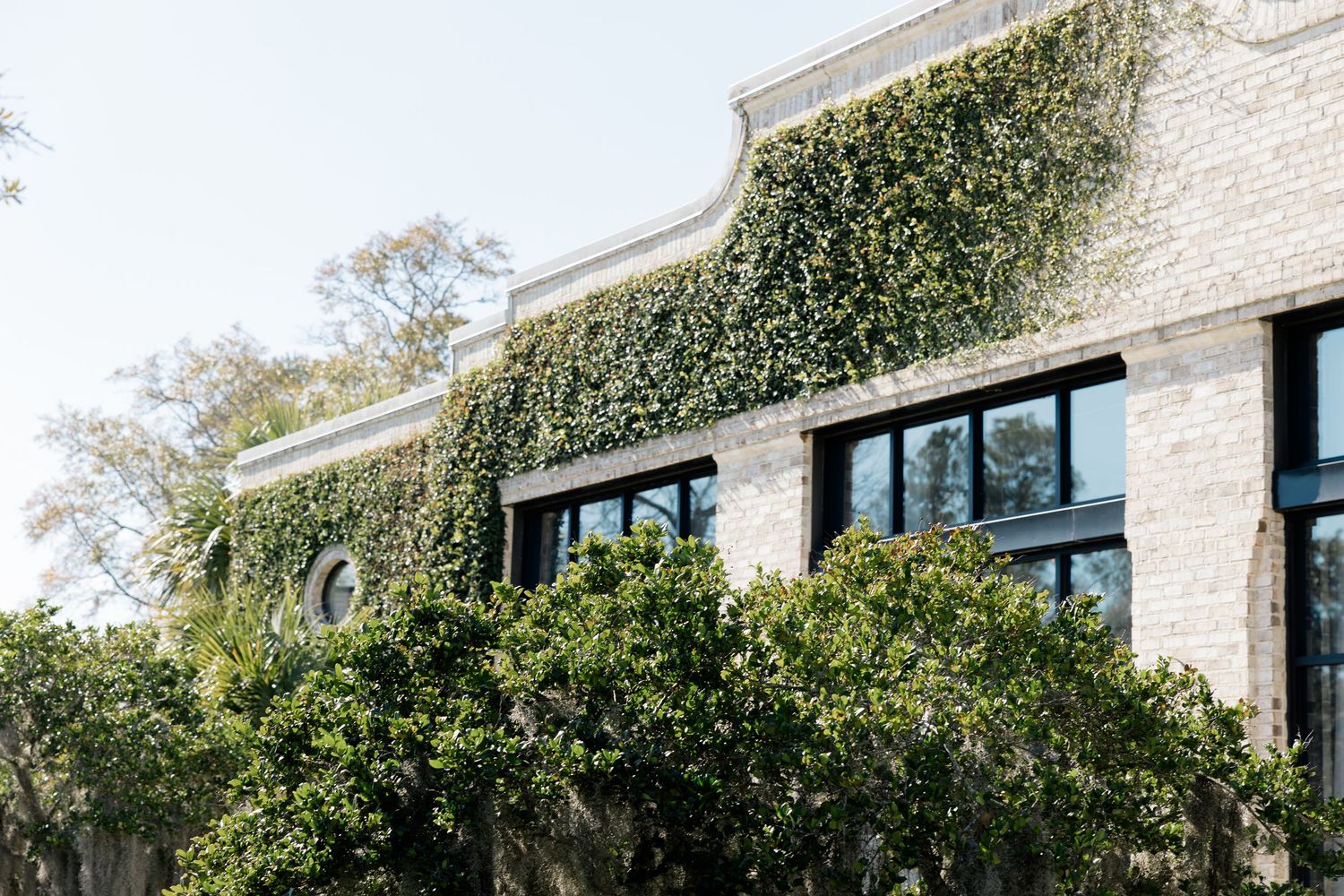 Stone building exterior with climbing ivy and greenery overtaking the facade with black-framed windows.