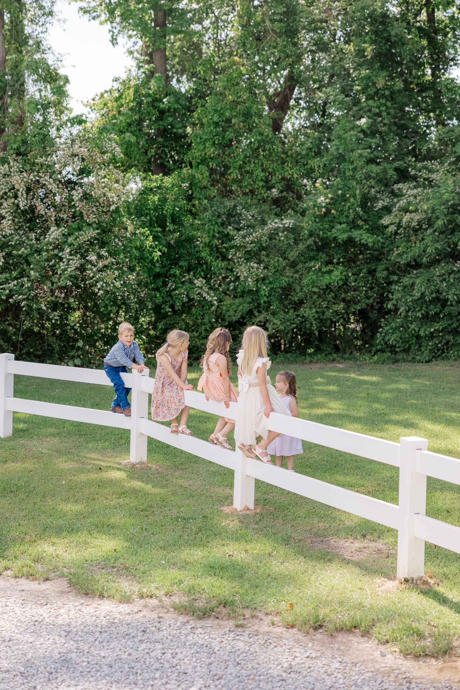 Children sit in a row on a white fence at a countryside wedding venue surrounded by lush greenery.