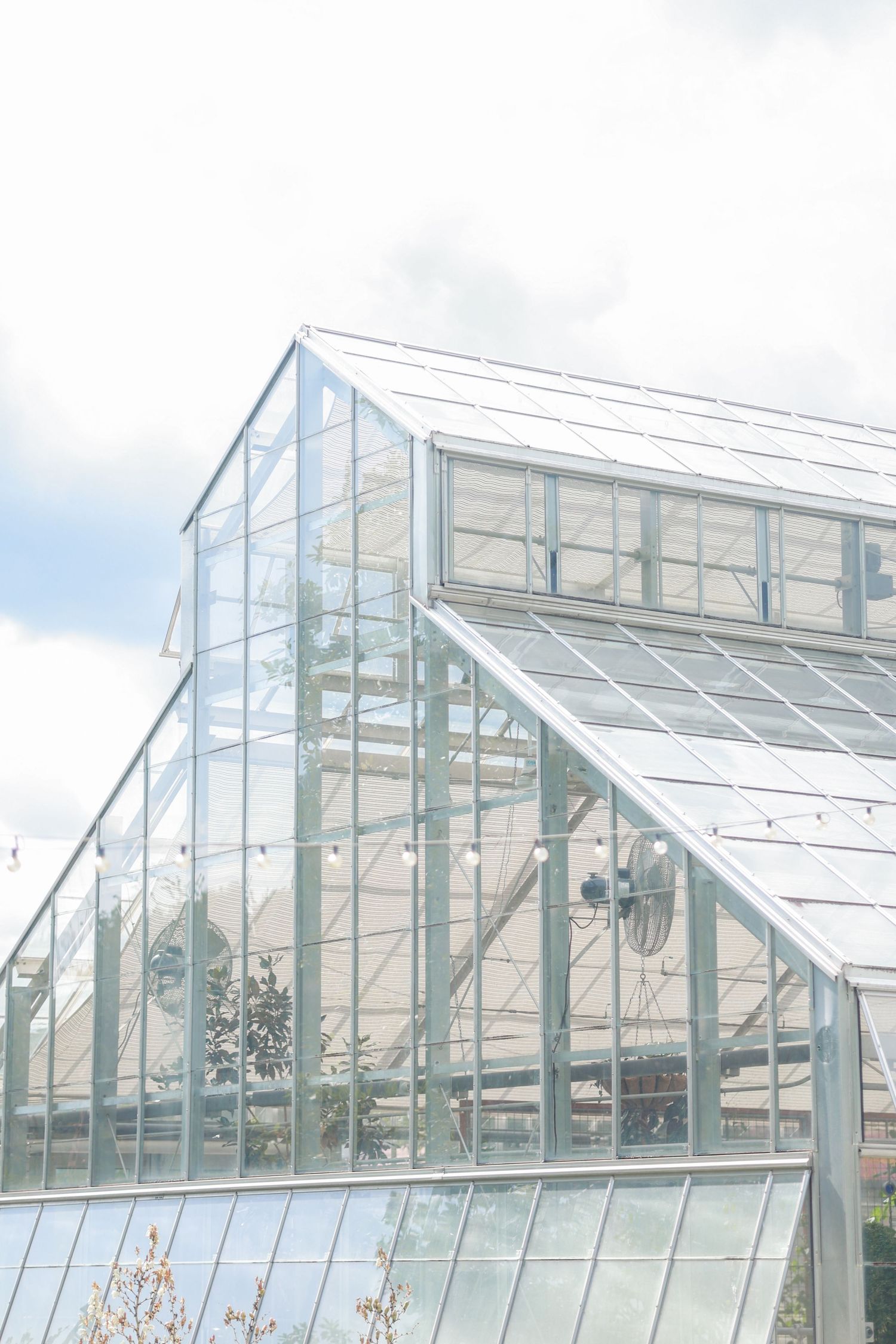 Modern greenhouse with angled glass panels and metal framework structure against a cloudy sky backdrop.