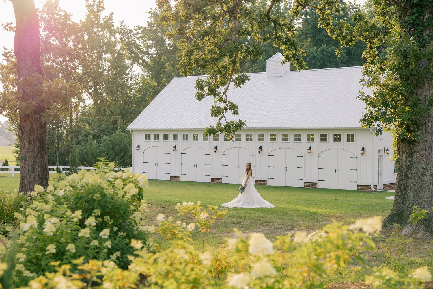 A figure stands in front of a white barn surrounded by yellow flowers and green trees at golden hour.