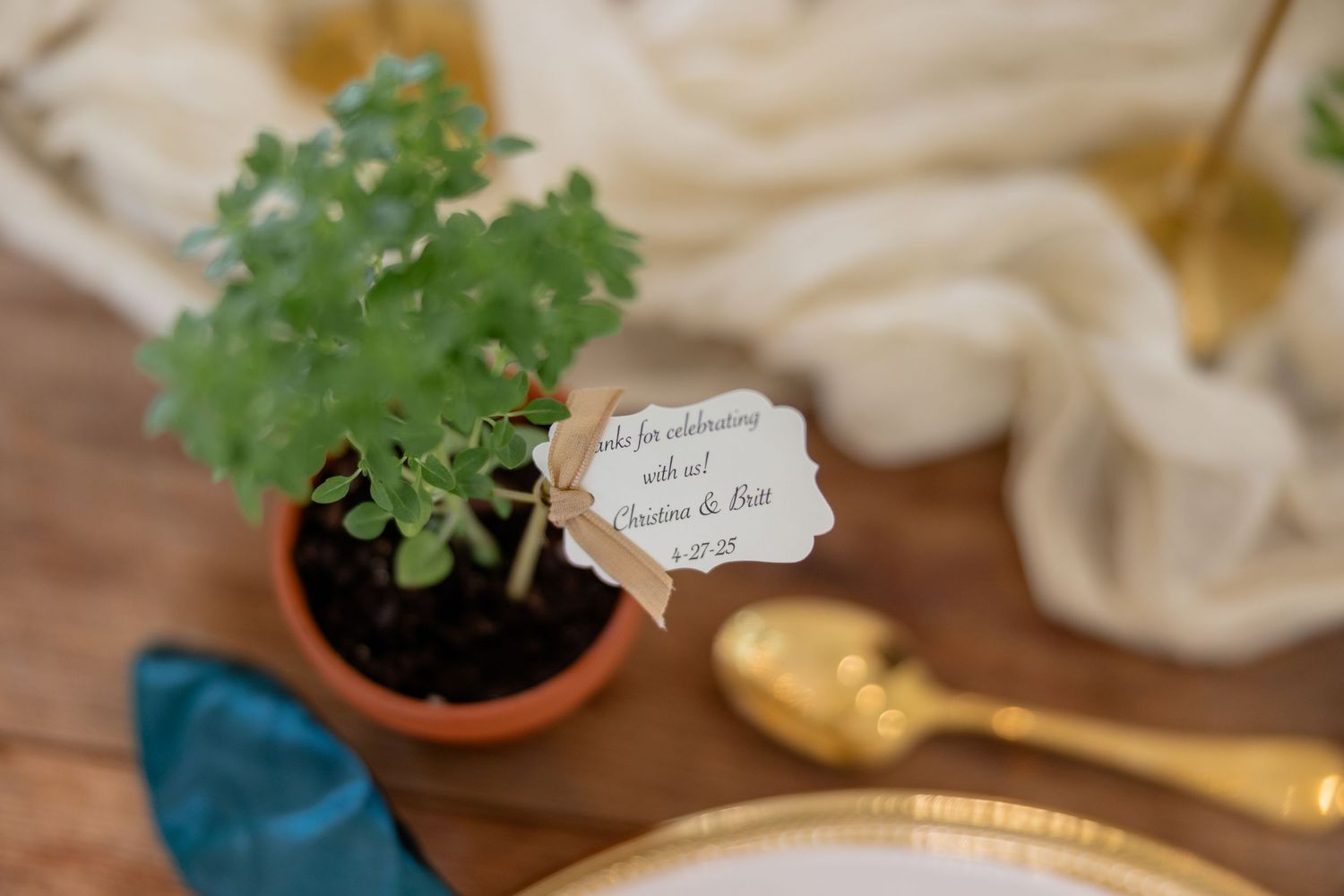 Wedding reception table features small potted herbs and place settings.