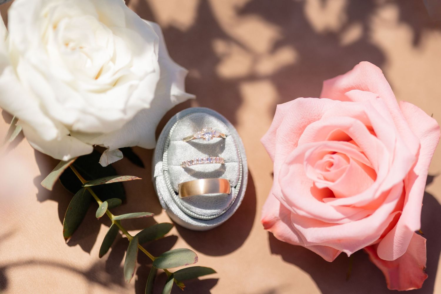 Two roses, one white and one pink, alongside wedding rings cast gentle shadows in sunlight.