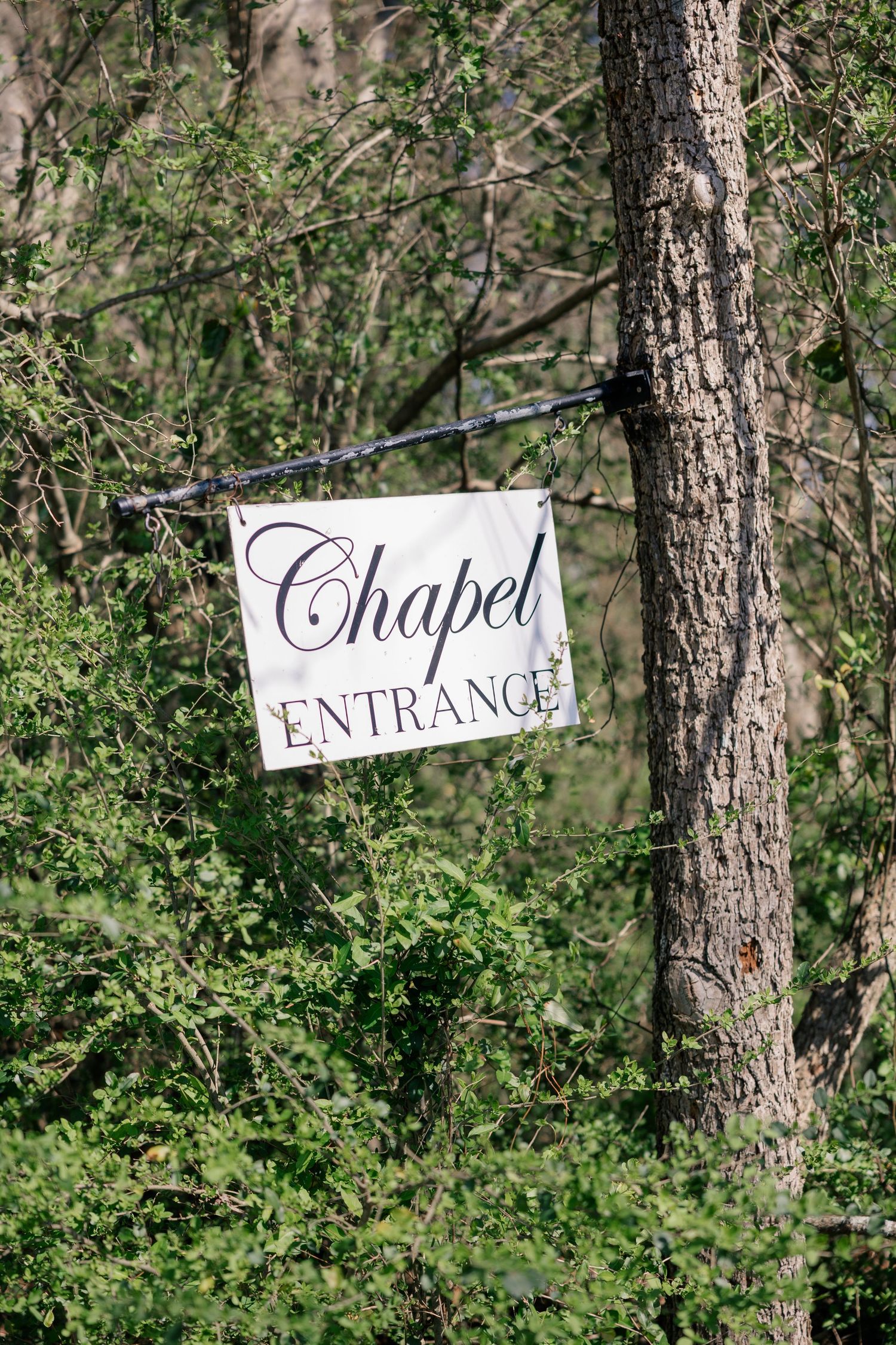White directional signs reading 'Chapel' and 'Entrance' mounted on tree trunks in a wooded outdoor setting.