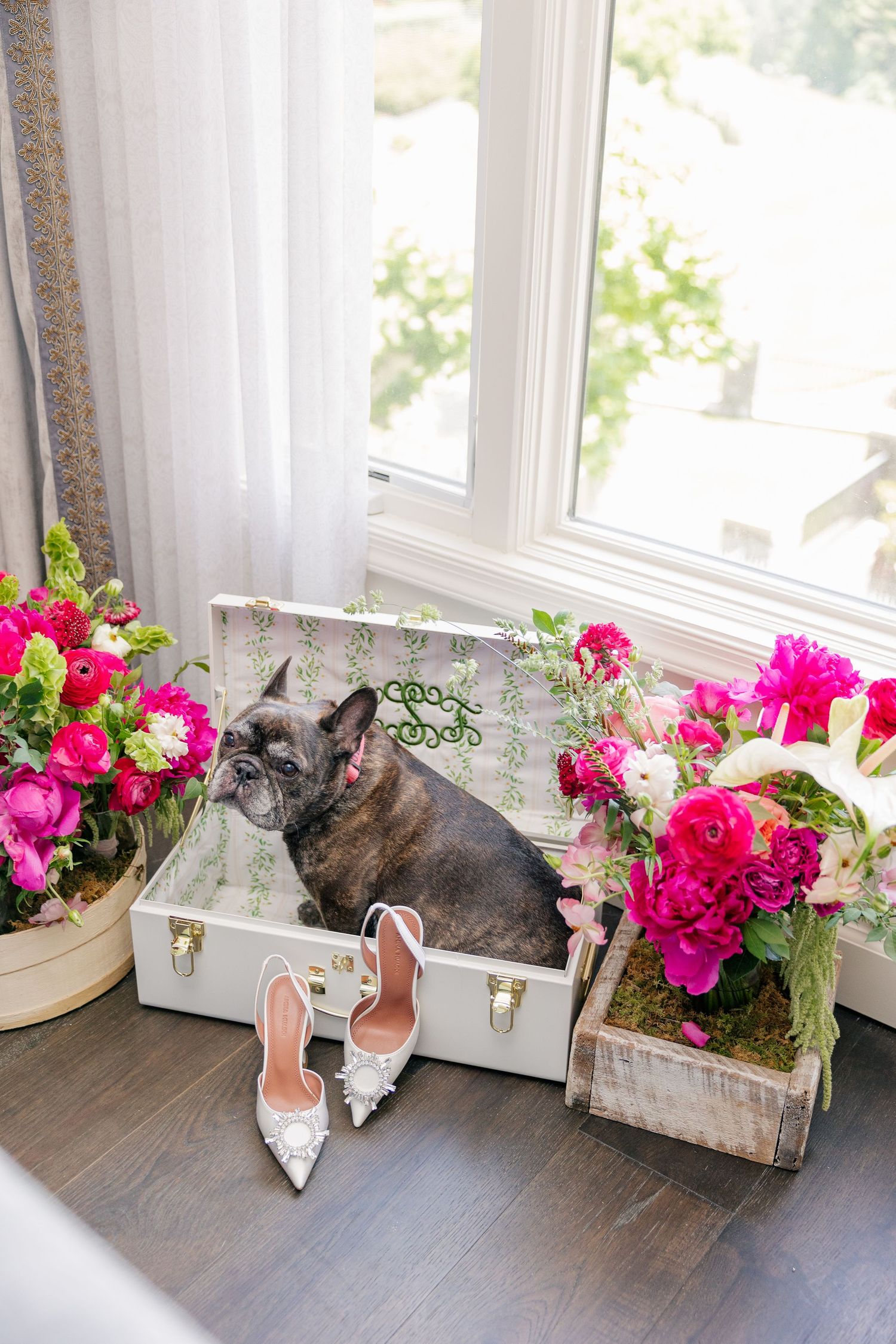 French bulldog sits in white monogrammed suitcase surrounded by pink peonies and bridal heels near a sunlit window.