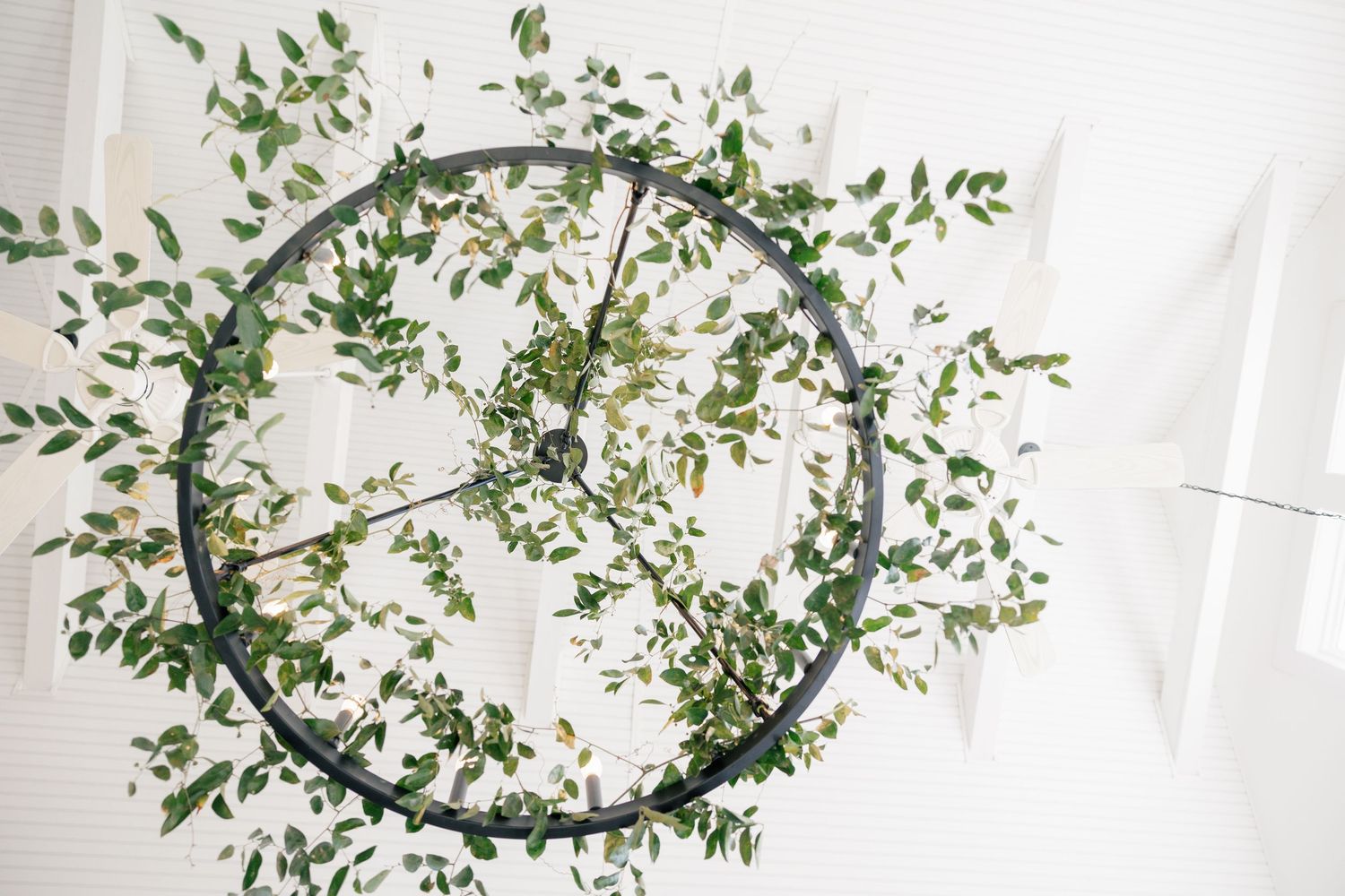 Natural green foliage arrangements suspended from white ceiling beams in an event space.